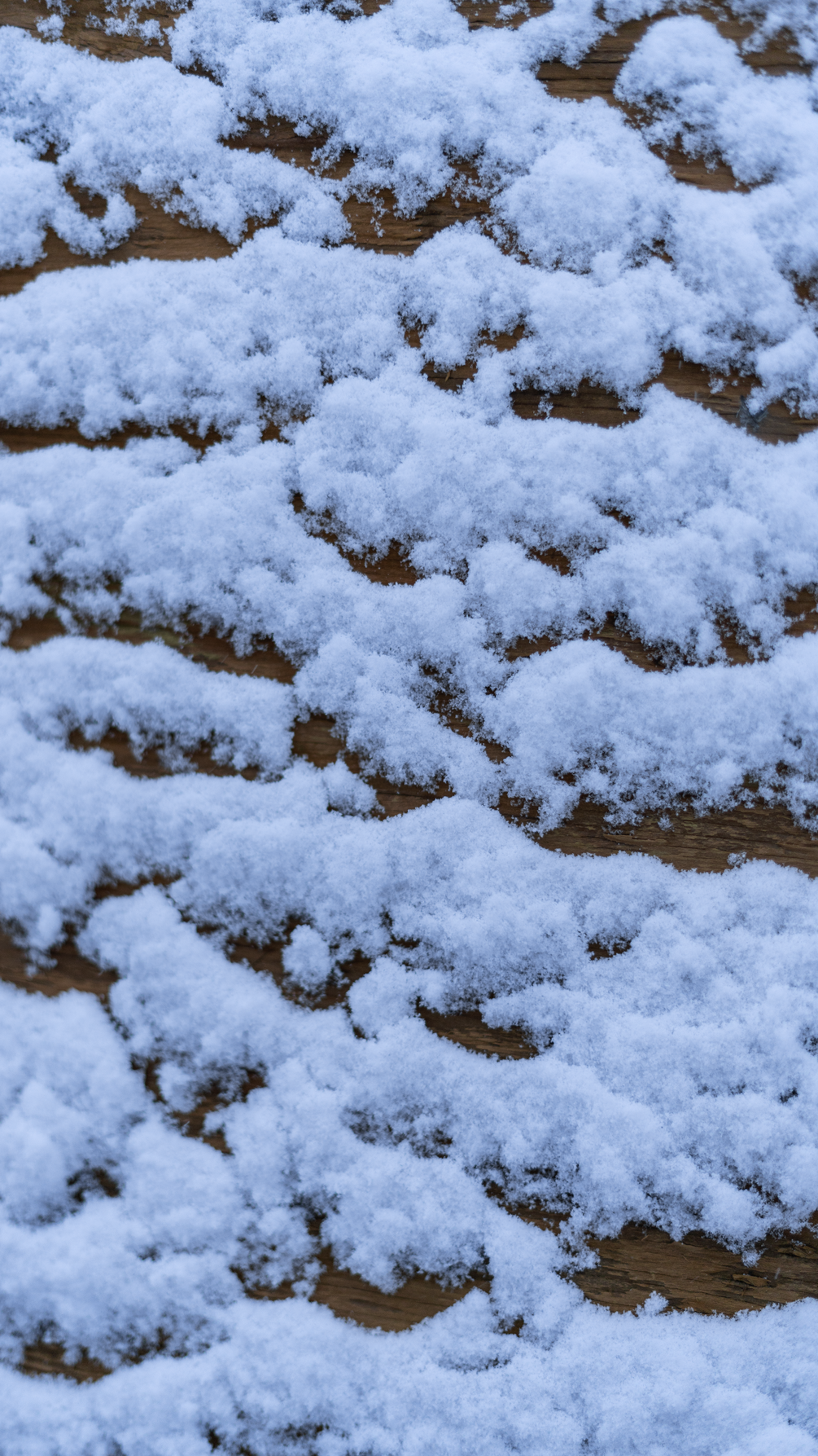 Winter Snow Phone Wallpaper