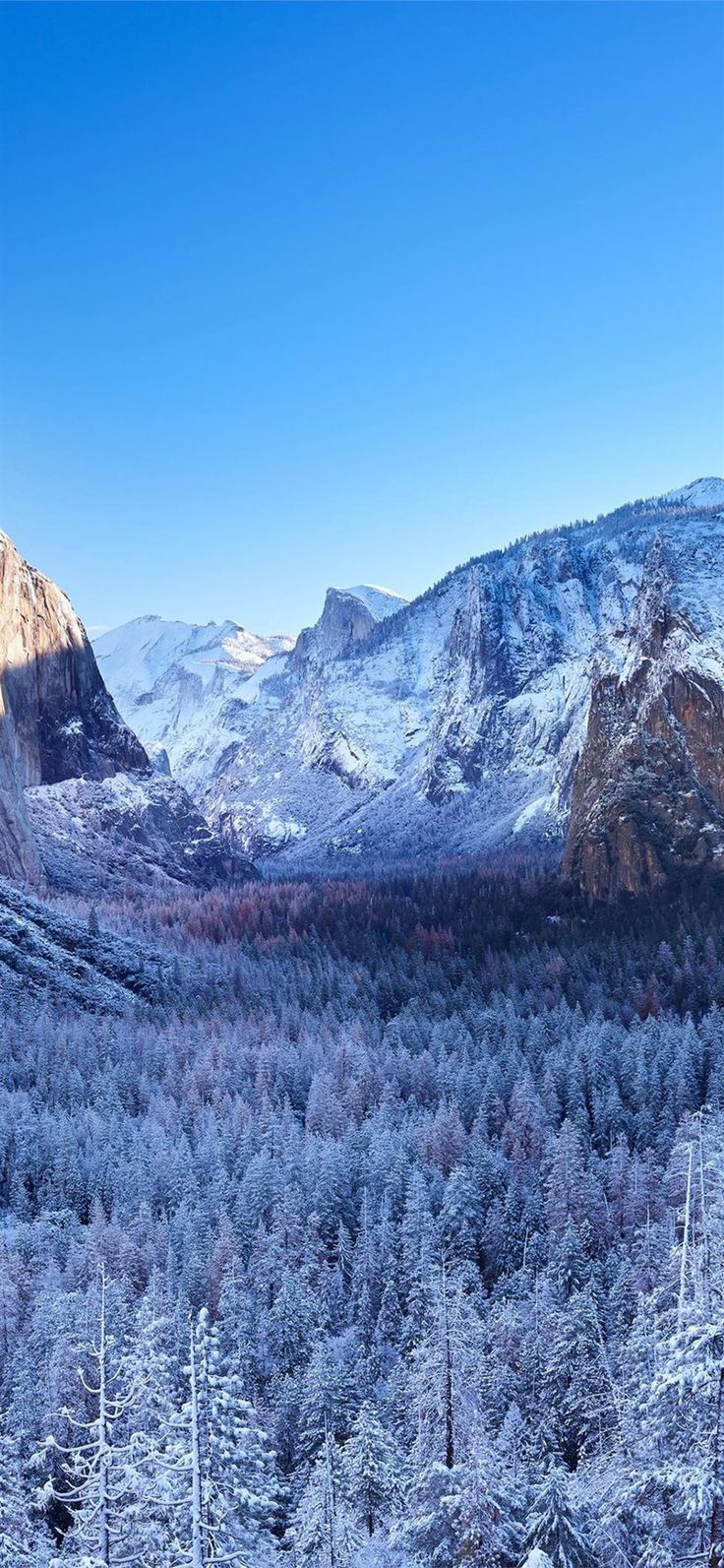 yosemite winter morning 4k iPhone X