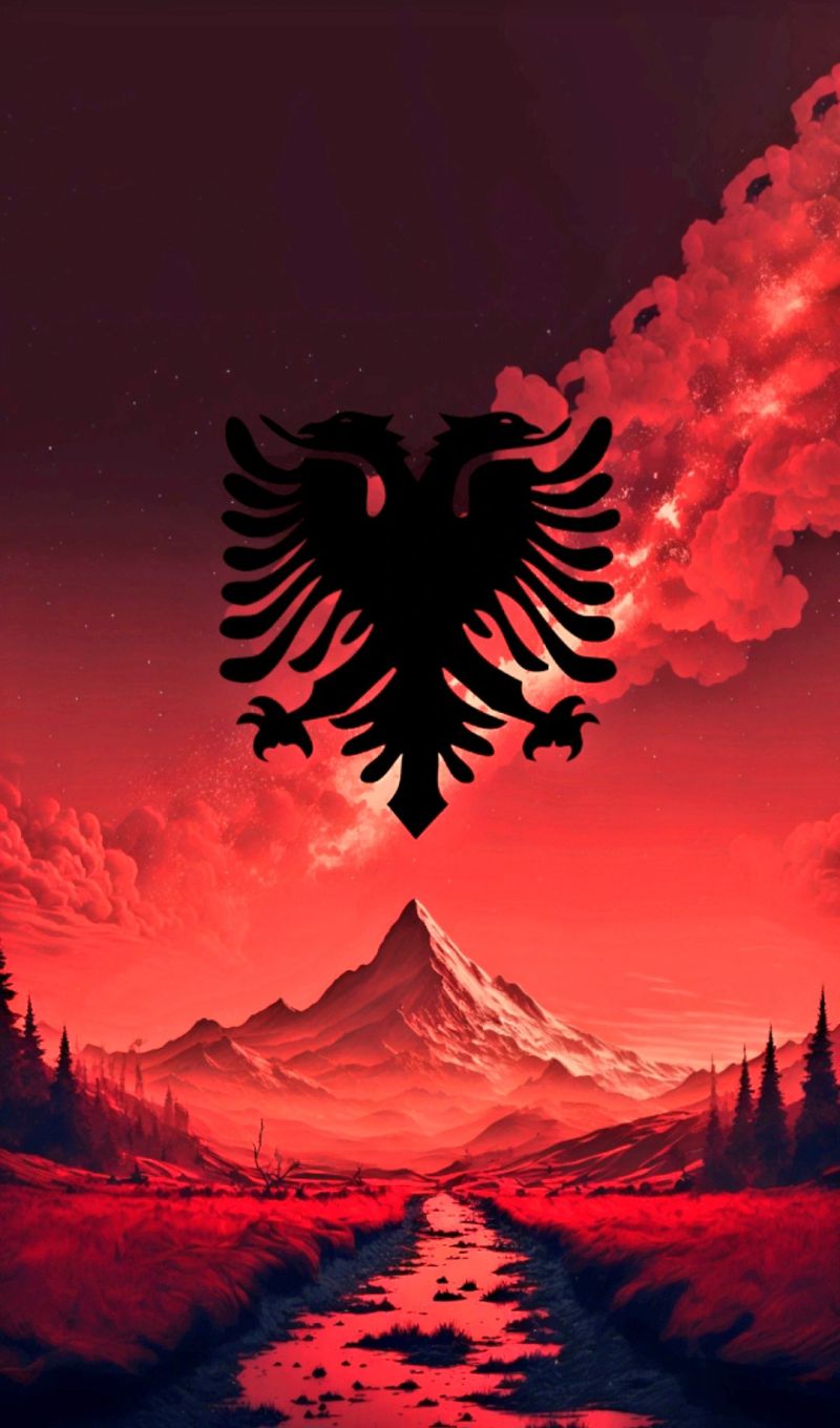 Fikrete A. on LinkedIn: #albania #kosova