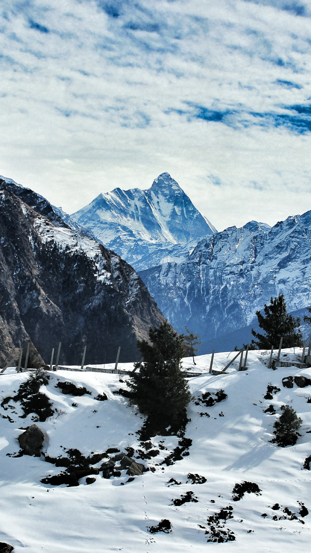 A Fence Across A Snowy iPhone Wallpaper