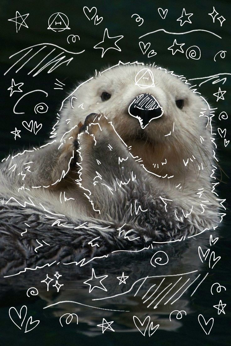 sea otter therian