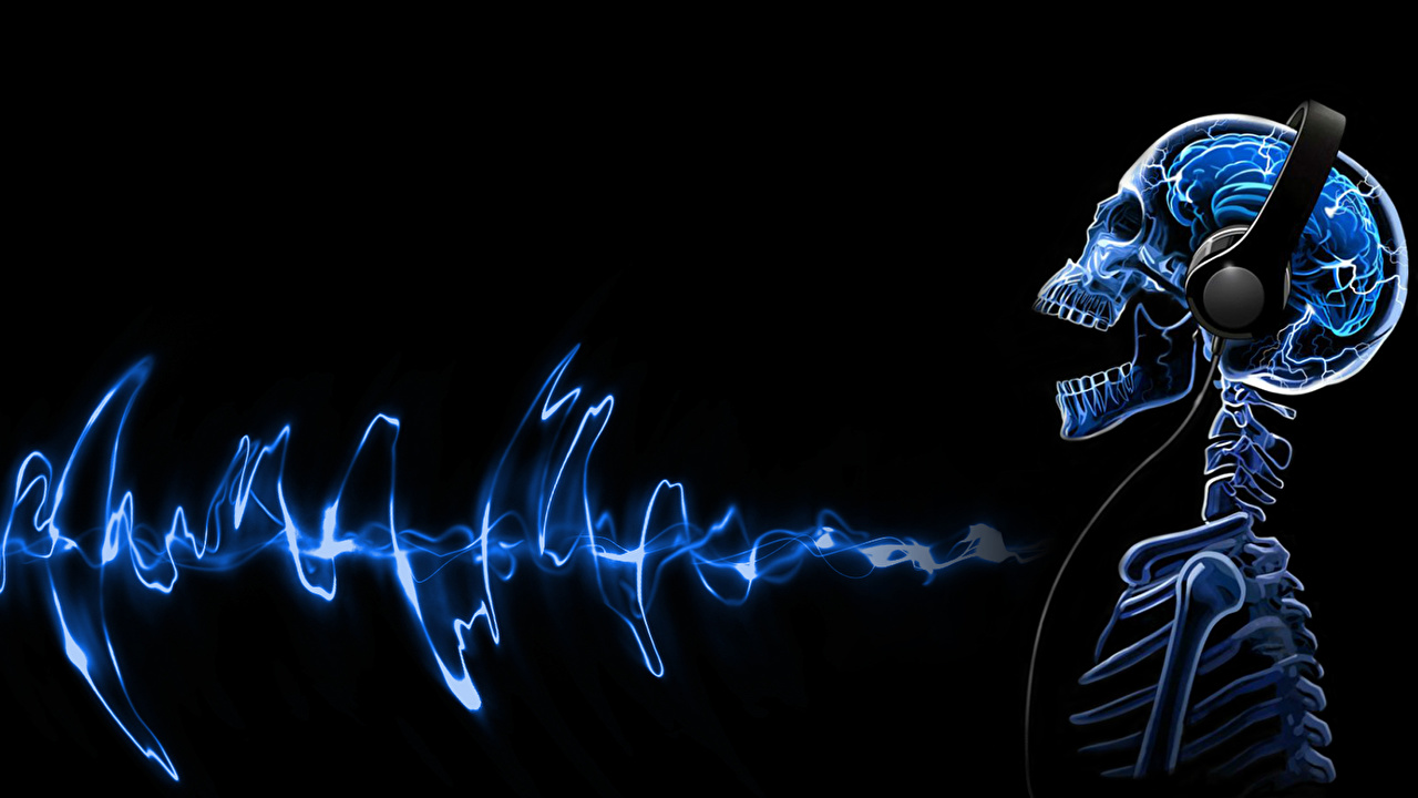 image Skulls Headphones Music Skeleton