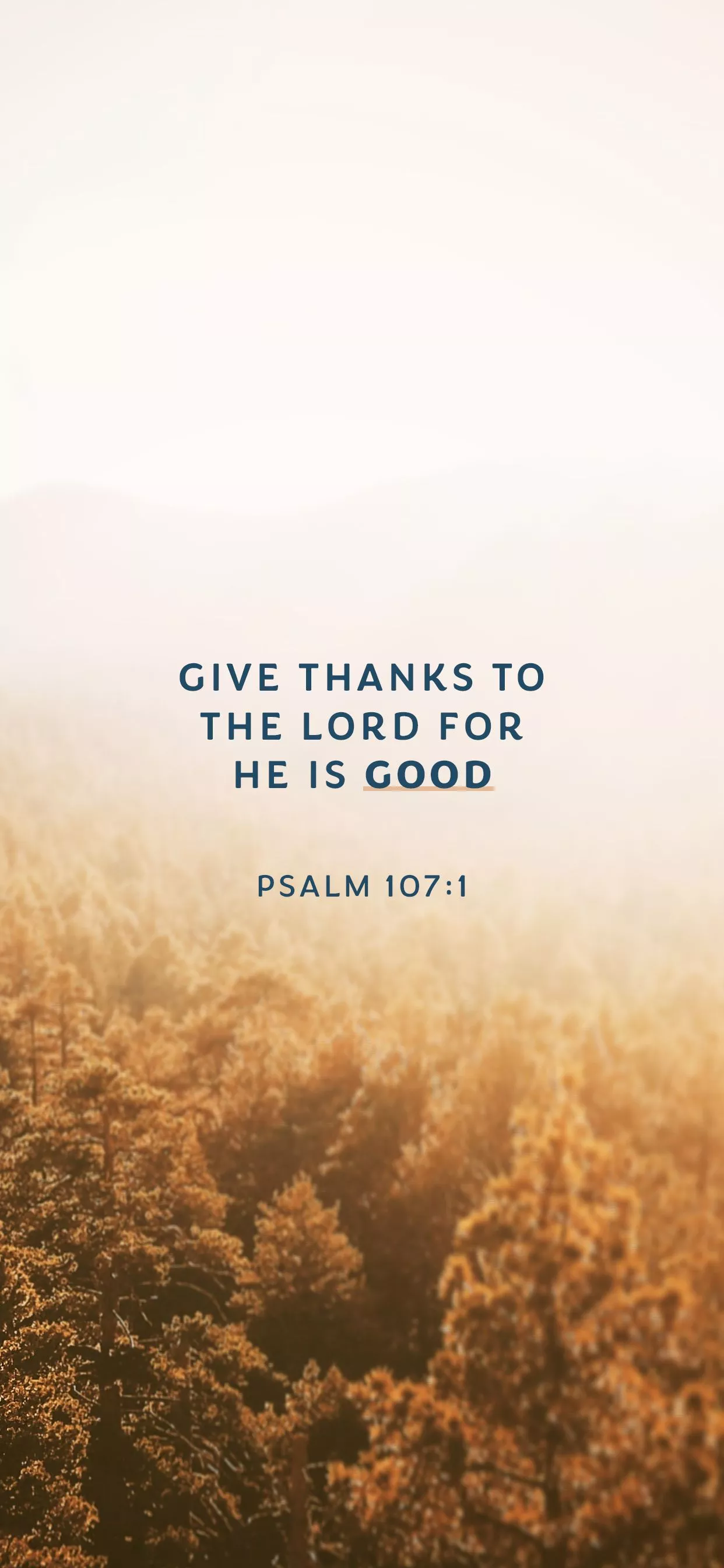 Aesthetic Bible Verse Wallpaper