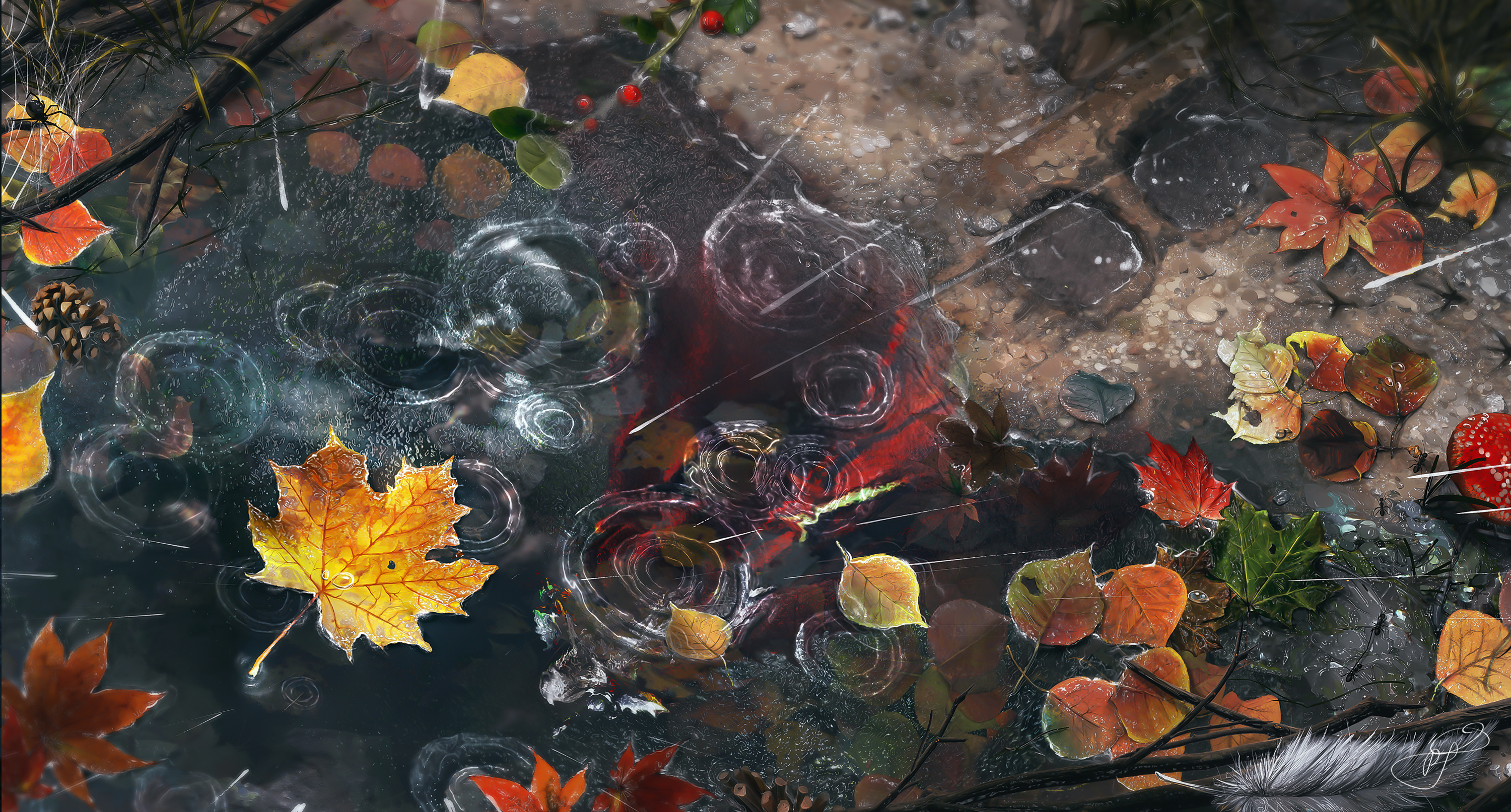 Rainy Autumn Reflections HD Wallpaper