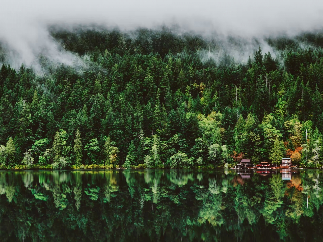 Download wallpaper 1280x960 green