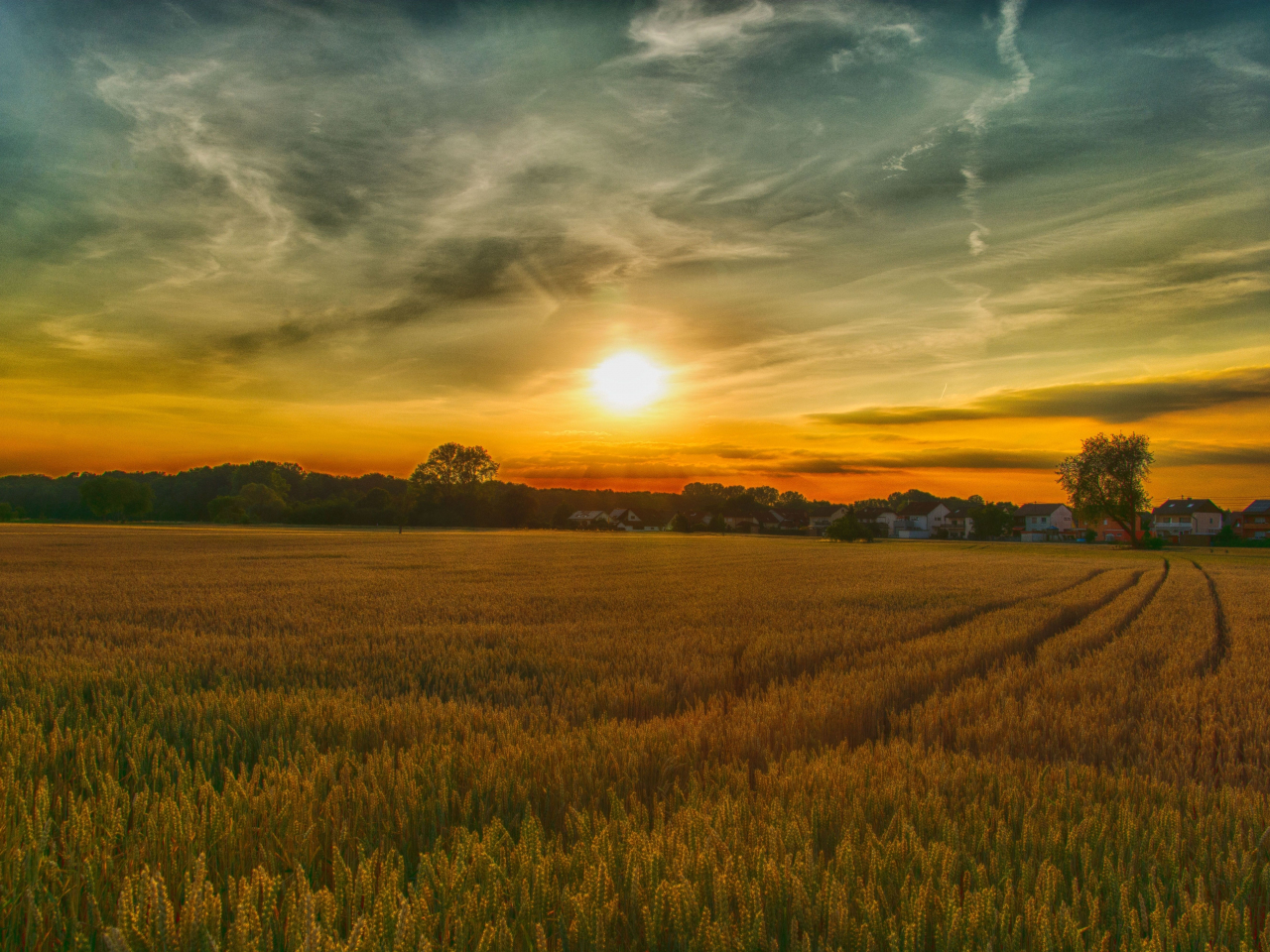 Download wallpaper 1280x960 summer