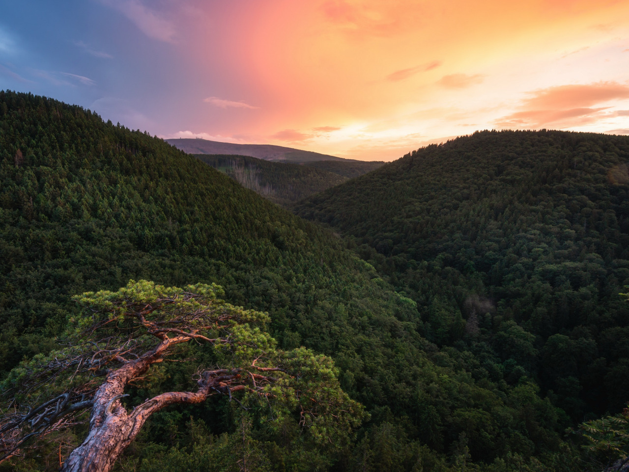 wallpaper sunset, mountains, nature