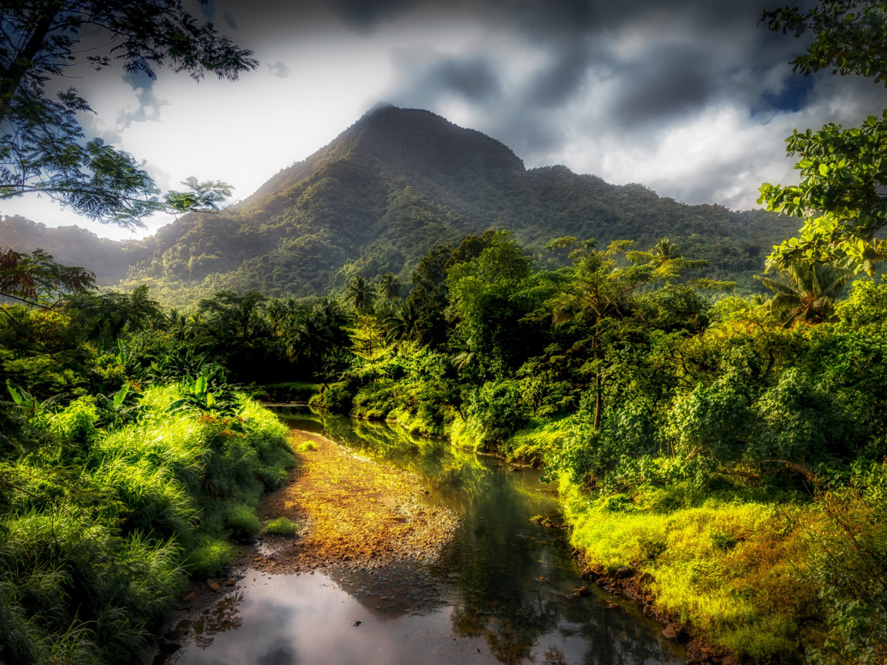 wallpaper greens, forest, clouds, trees