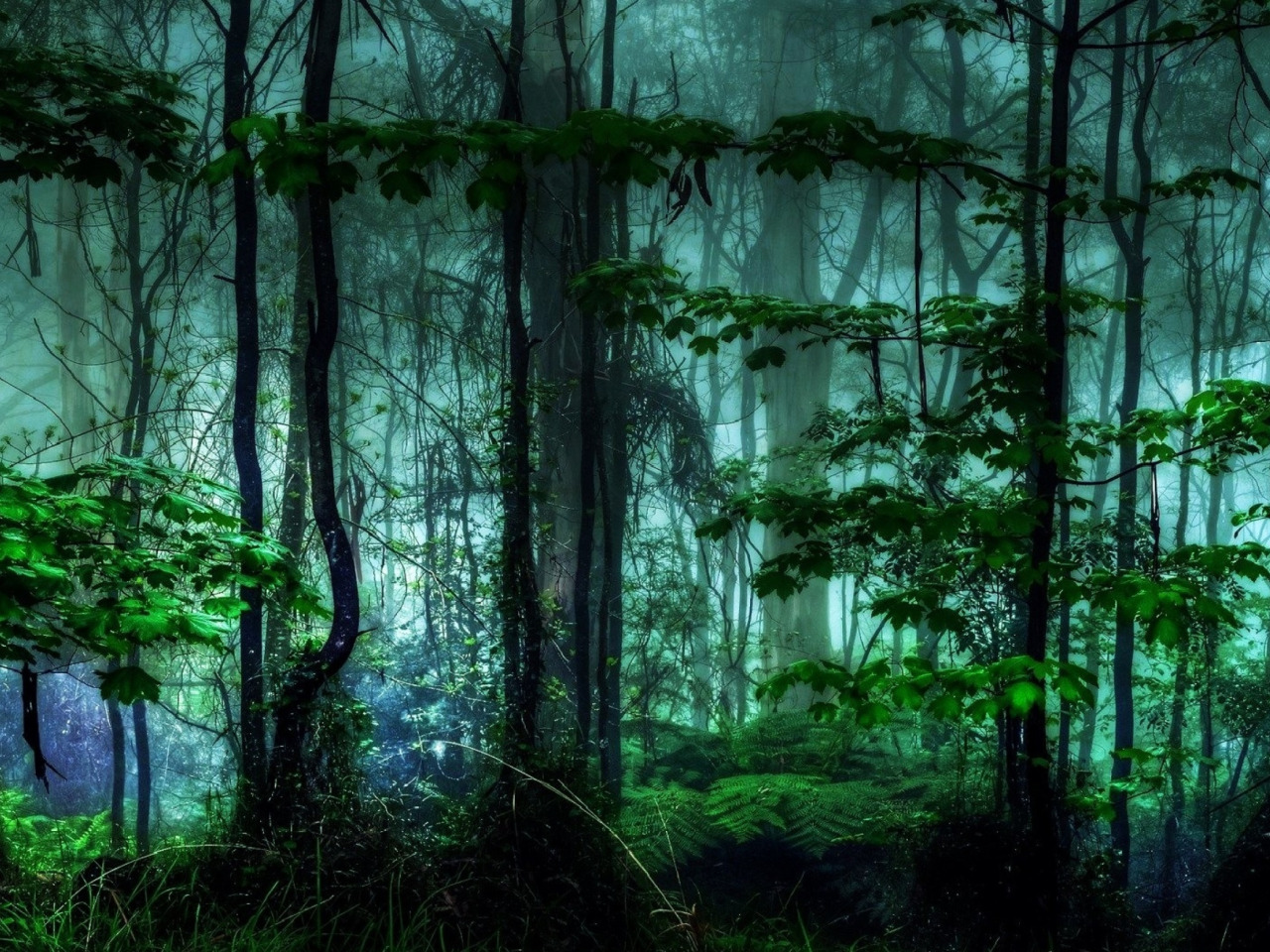 Download wallpaper forest, tropics