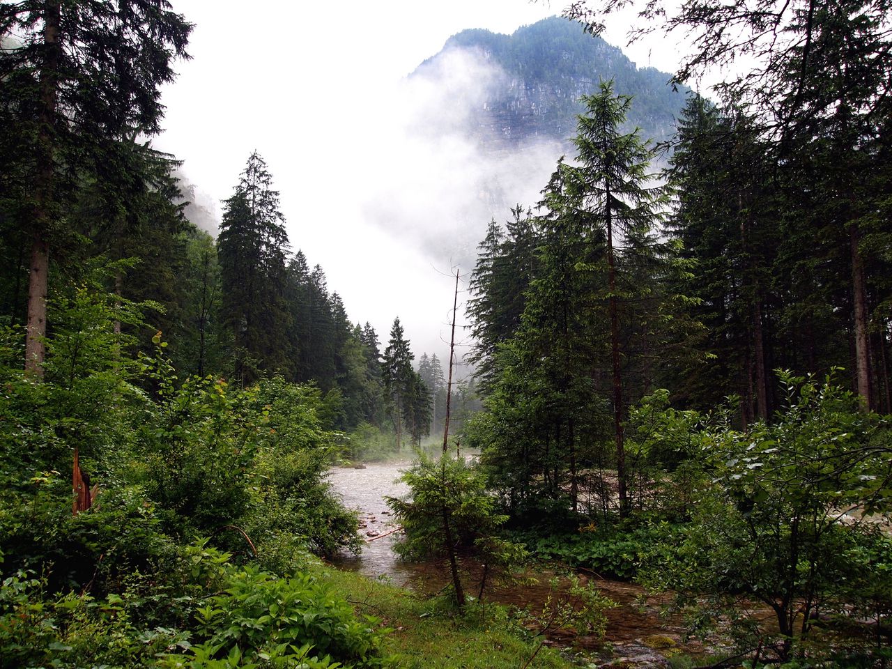 Download wallpaper 1280x960 river