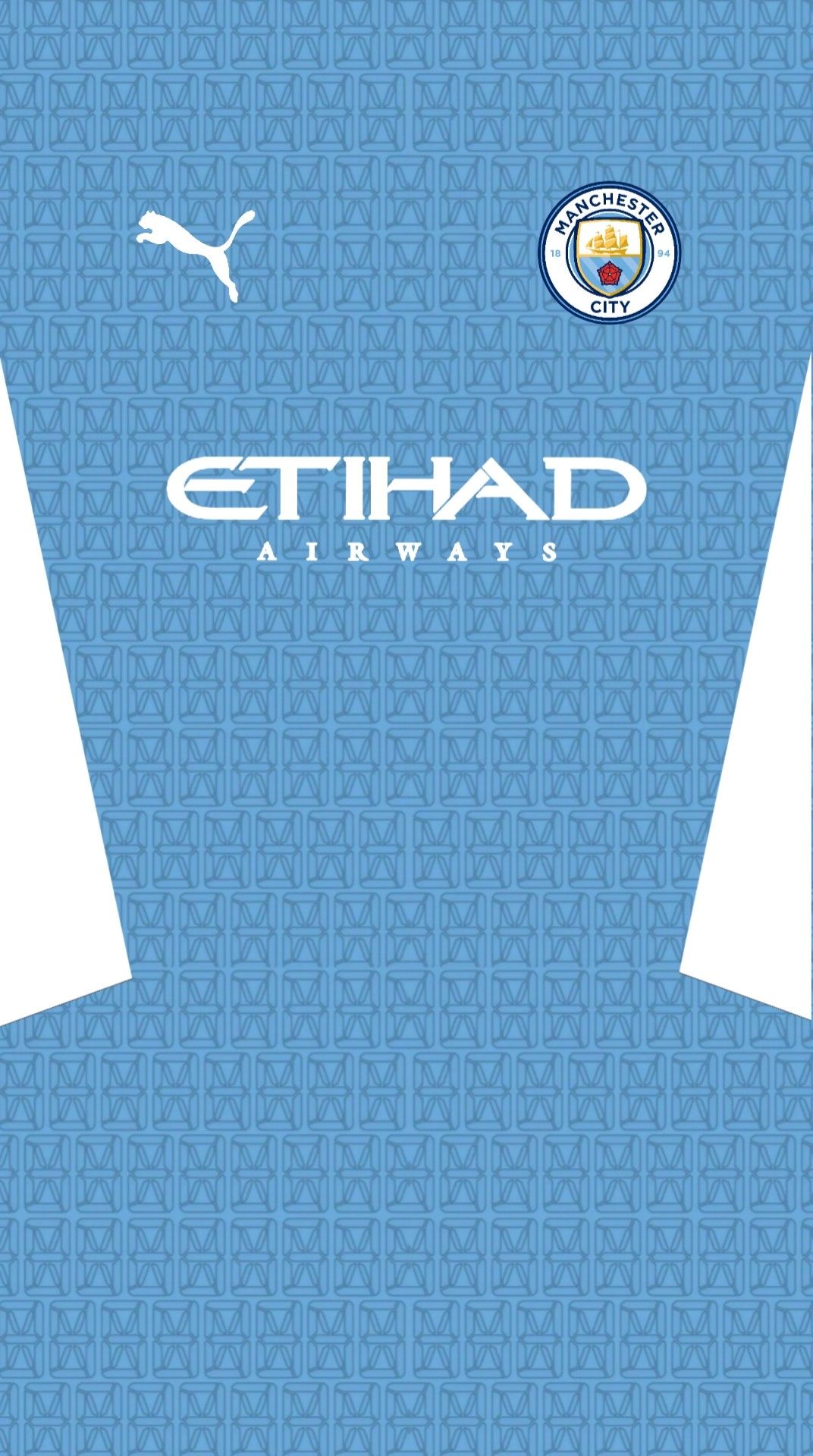 Manchester city home kit