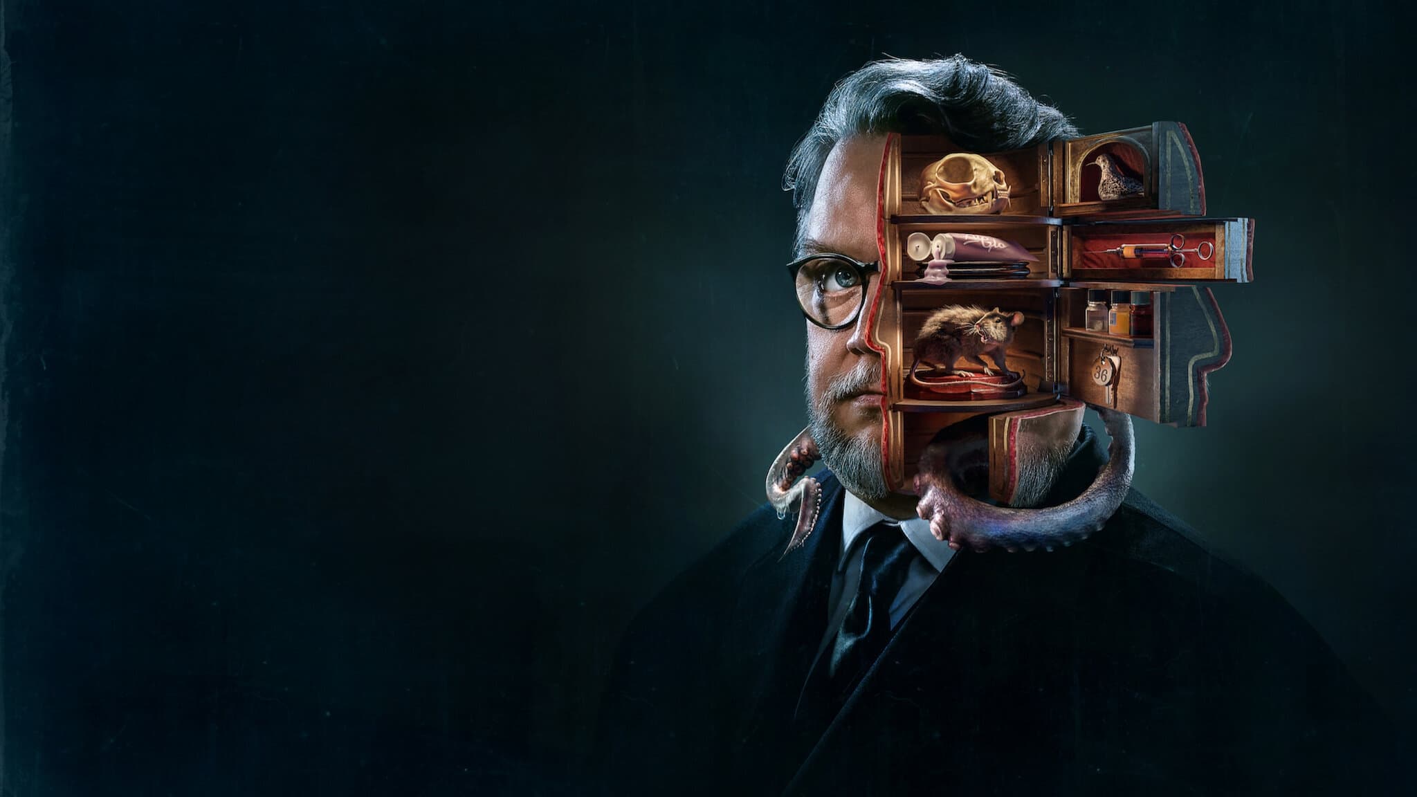 Cabinet Of Curiosities HD Wallpaper
