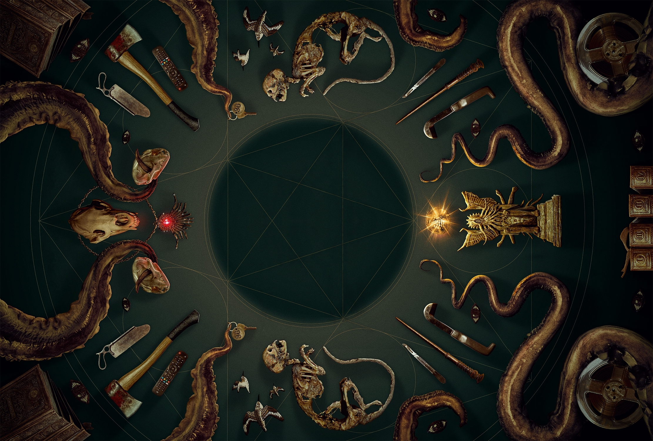 Curiosities HD Wallpaper