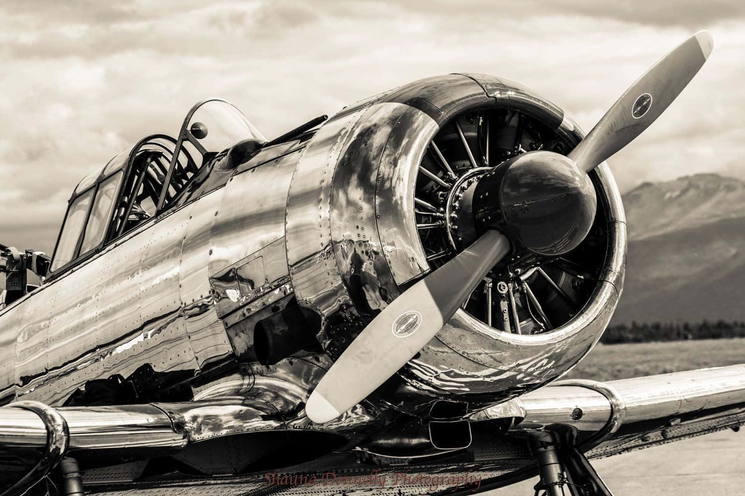 Download Majestic Vintage Airplane