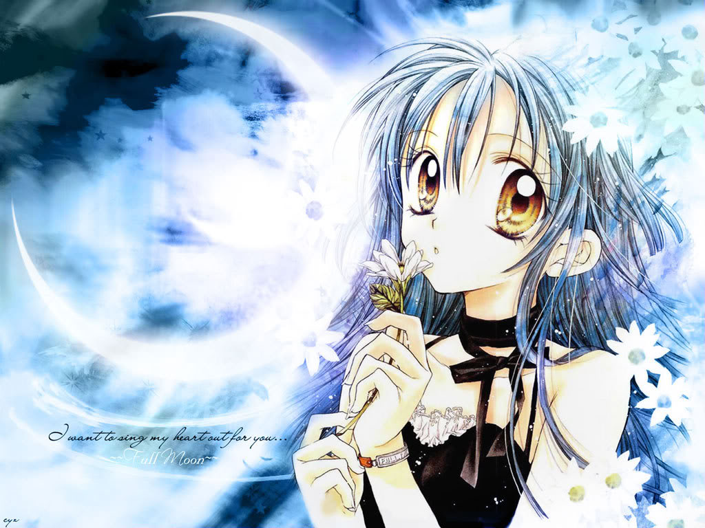 MediaOCD Haul! 😆 : r/AnimeCollectors, image size:1024x768