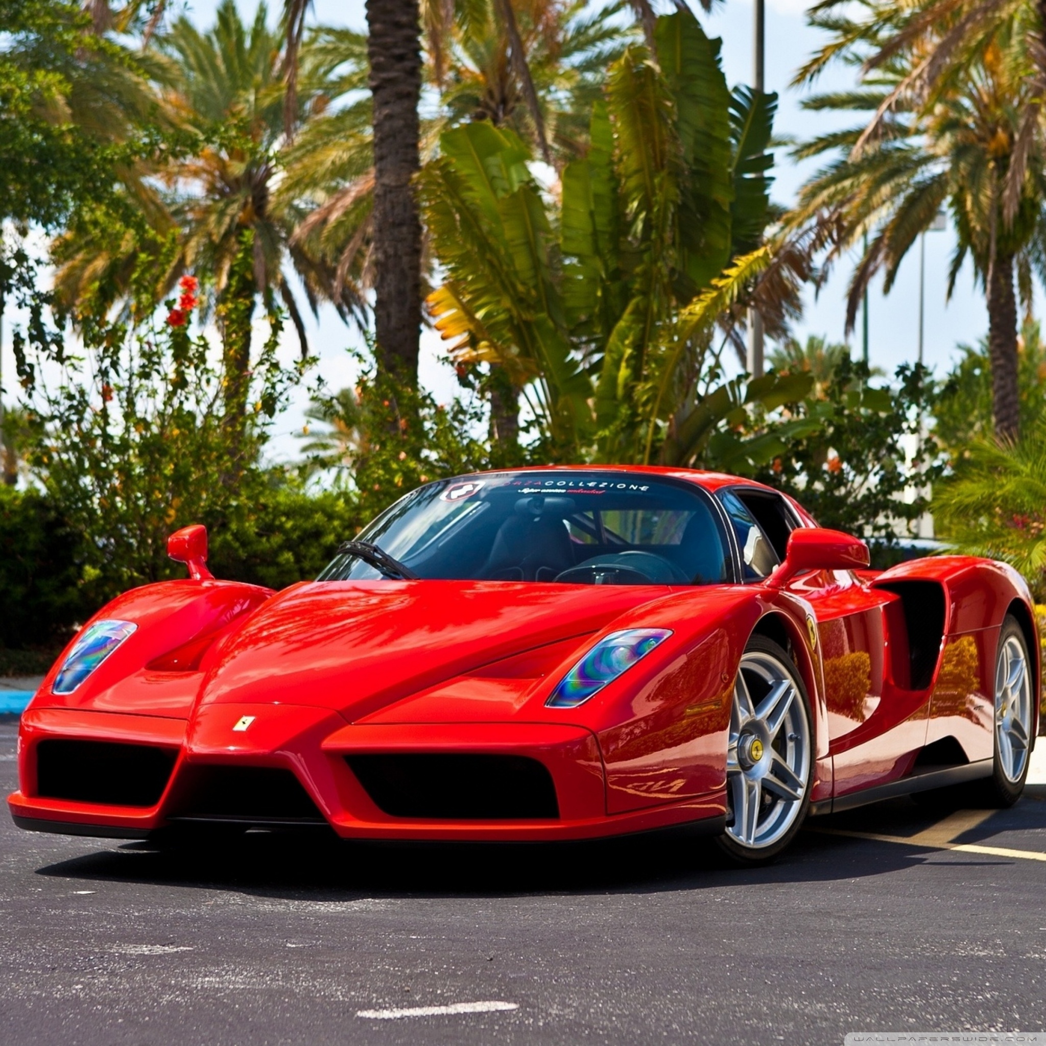 Red Ferrari Enzo Supercar Ultra HD