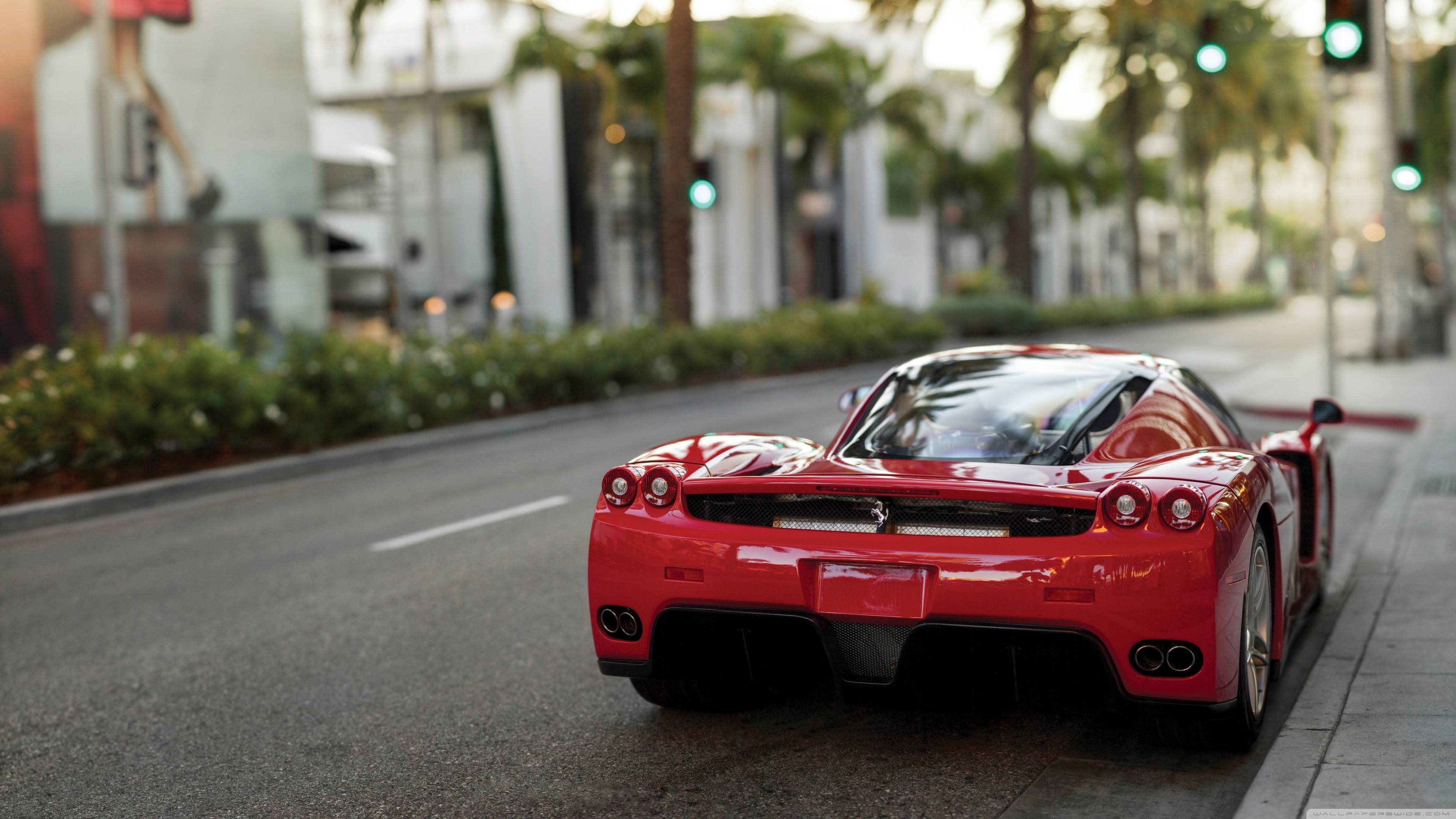 Ferrari Enzo Sports Car Rear Ultra HD