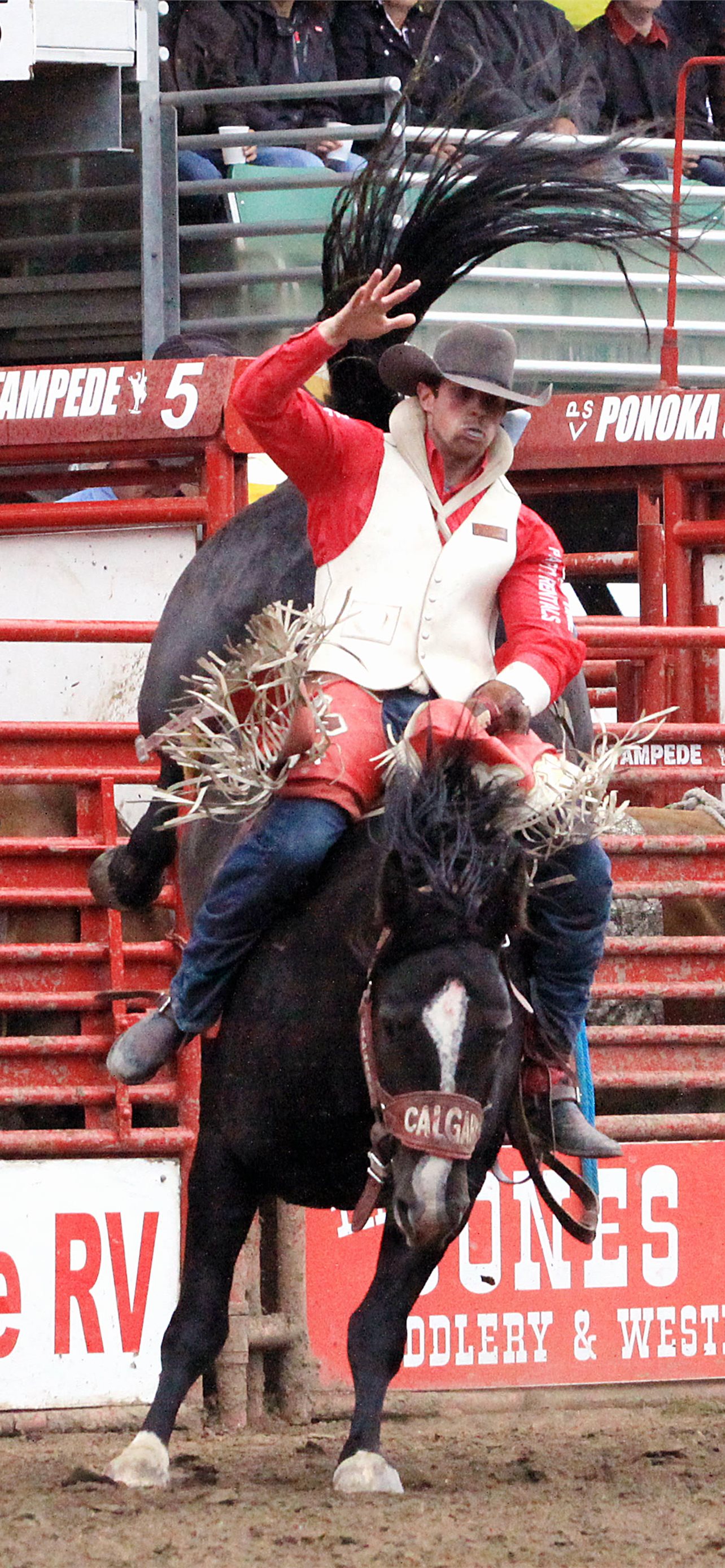 Best Bull riding iPhone HD Wallpaper