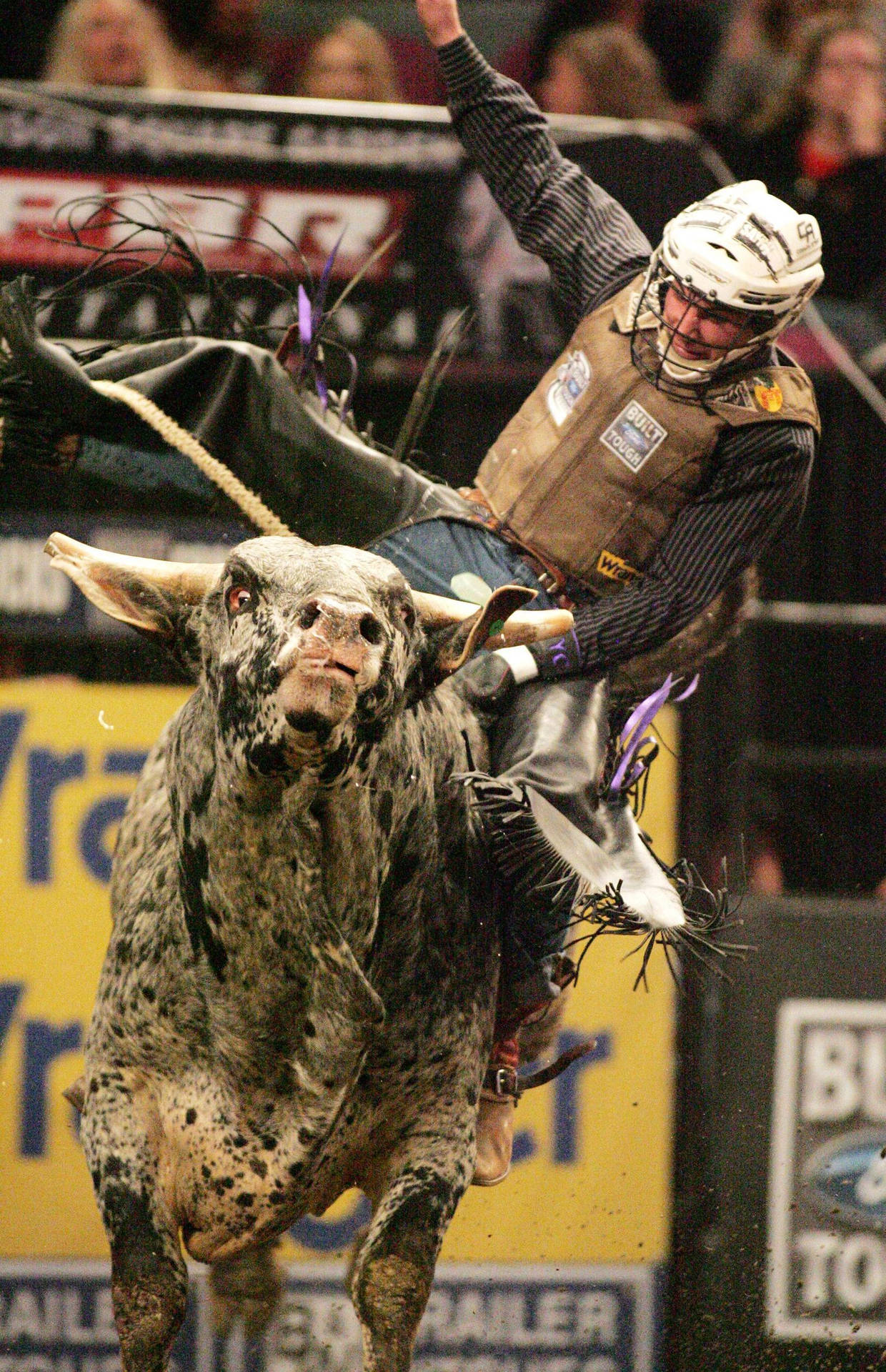Download free Pbr Chute Out Denver Bull