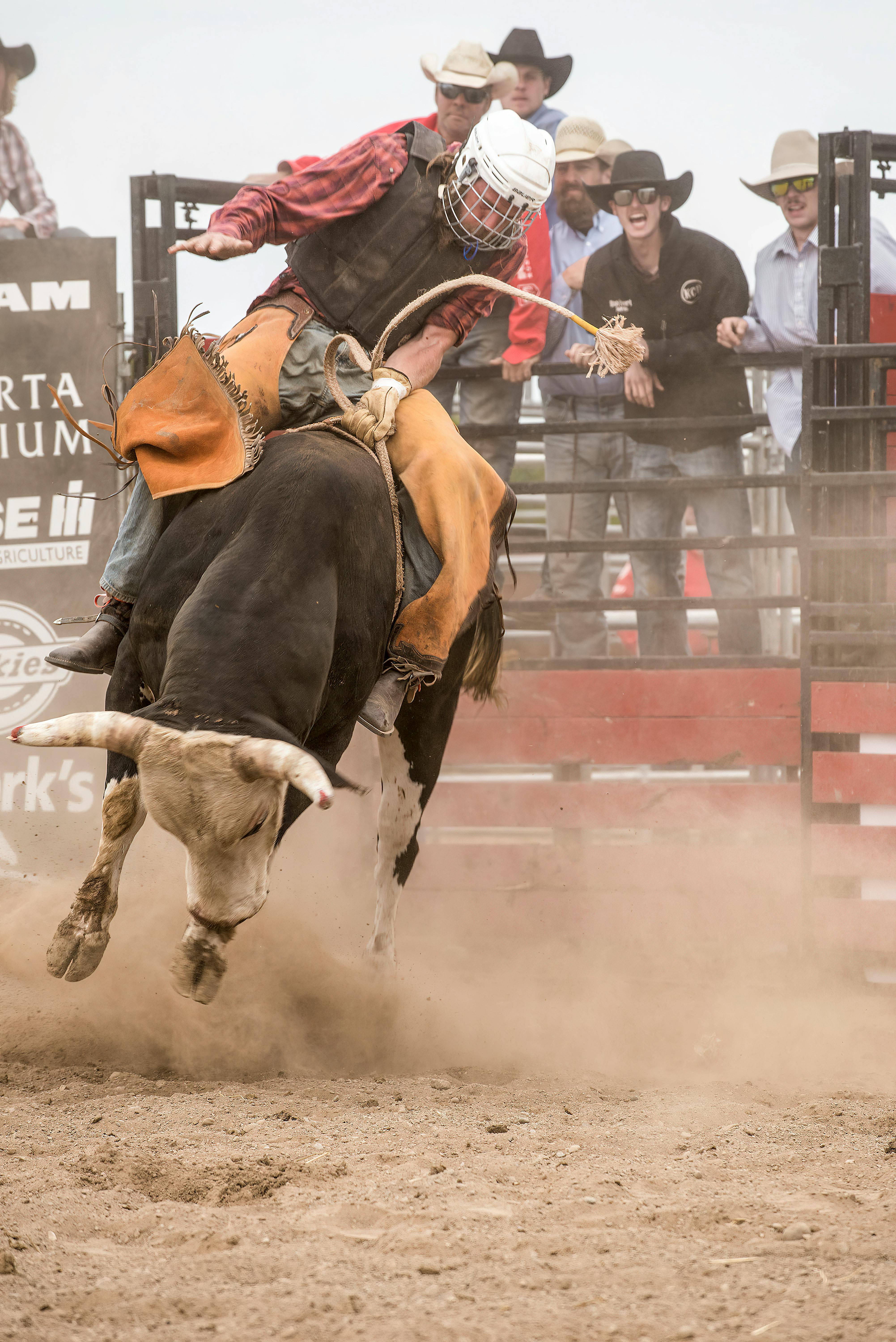 Rodeo Photo, Download The BEST Free
