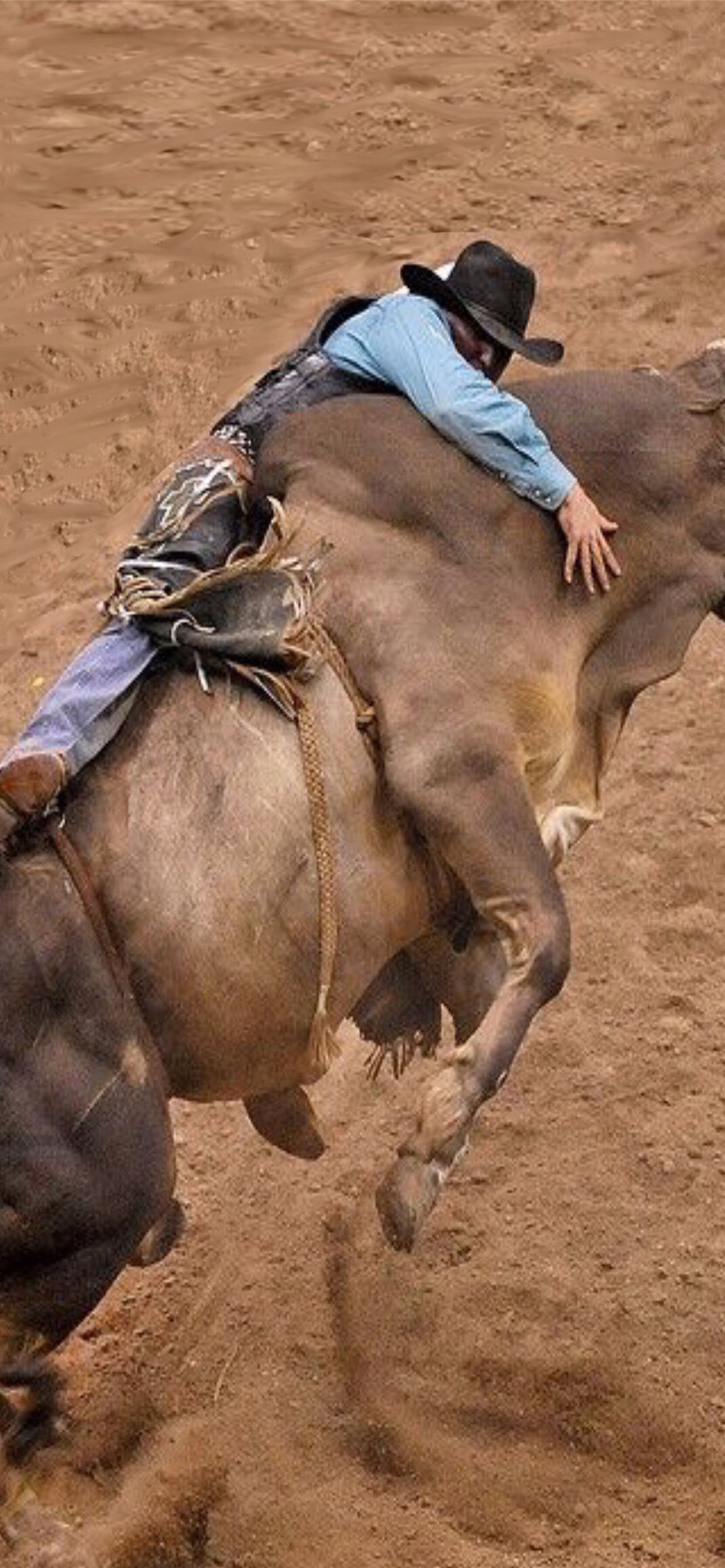 Best Bull riding iPhone HD Wallpaper