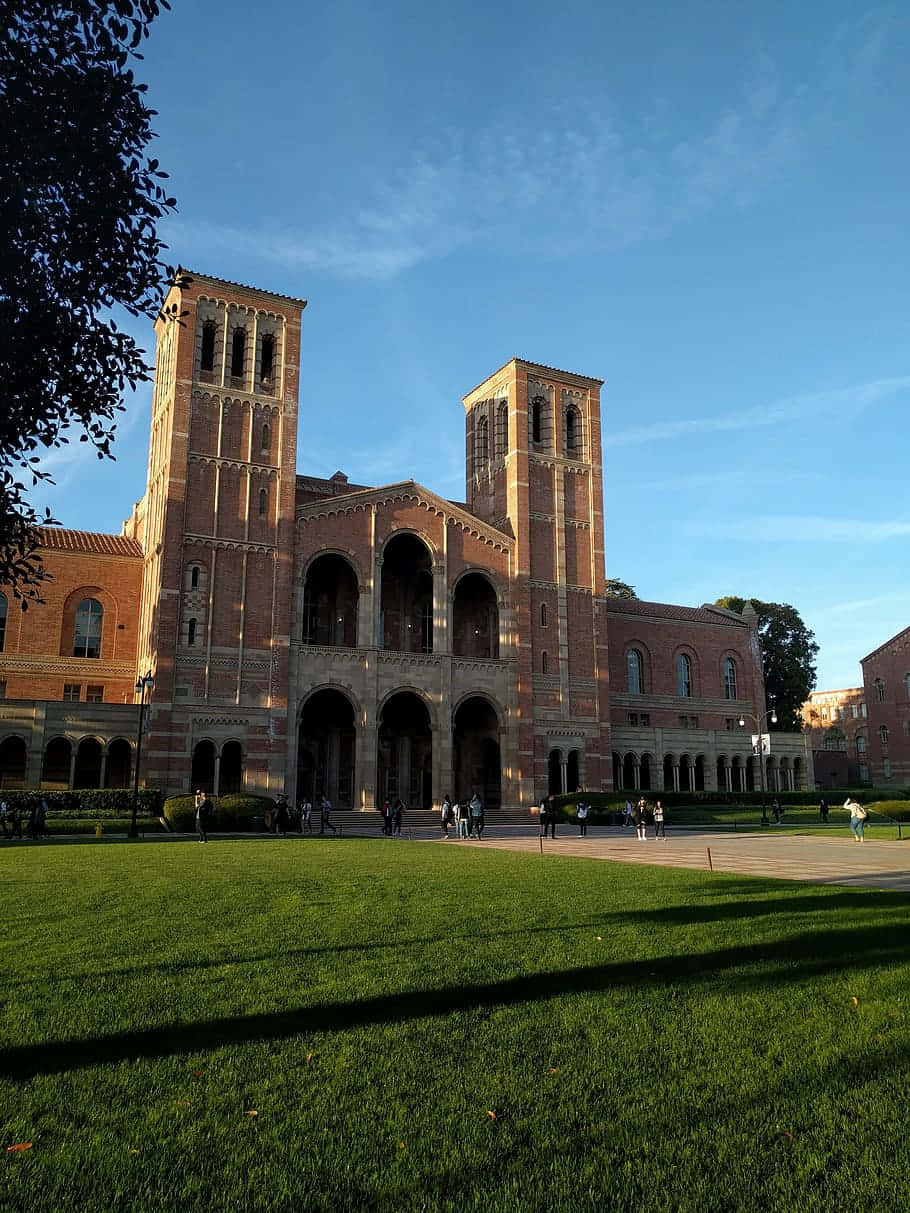 UCLA campus Wallpaper