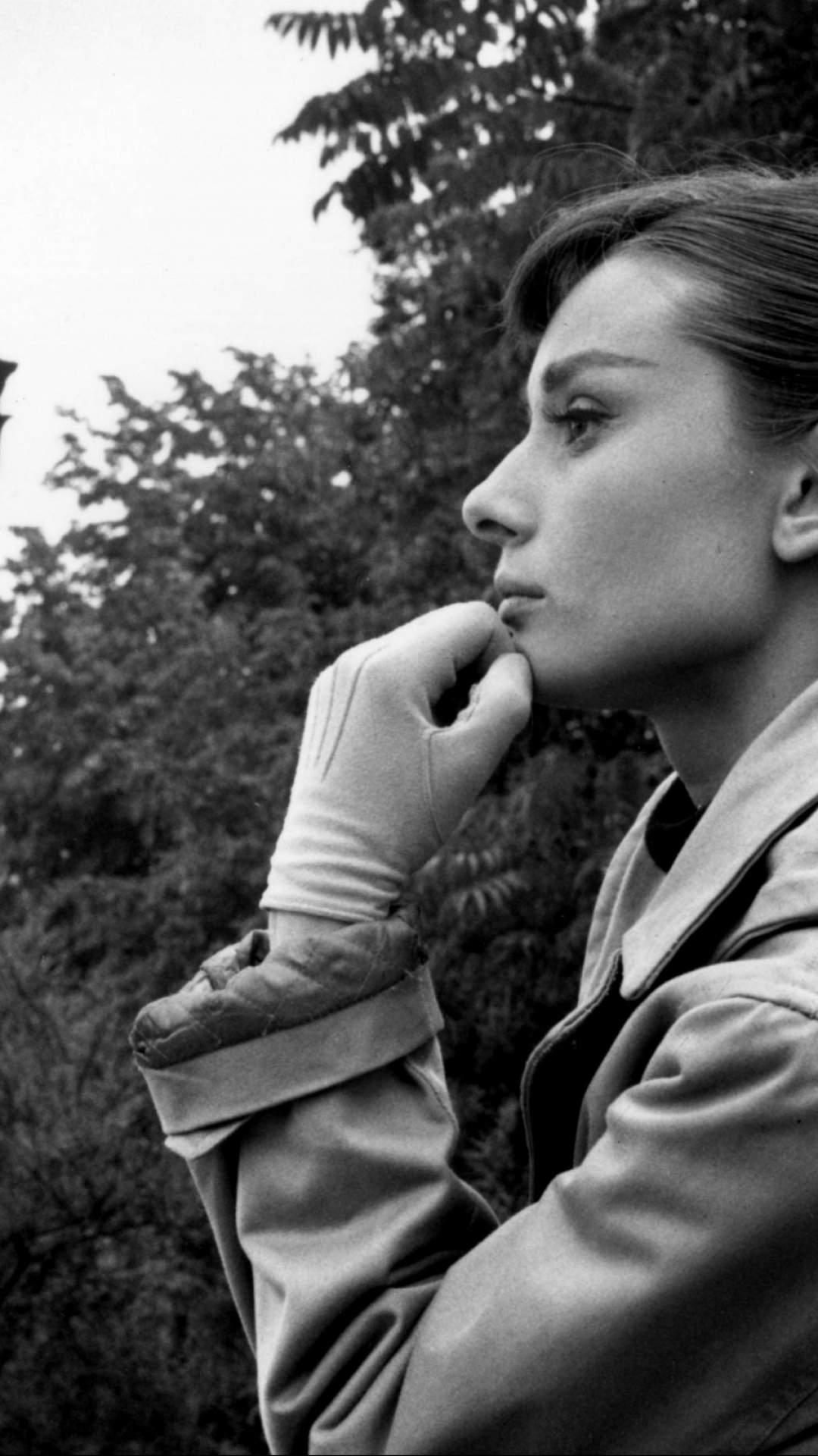 Celebrity, Audrey Hepburn, 1205290