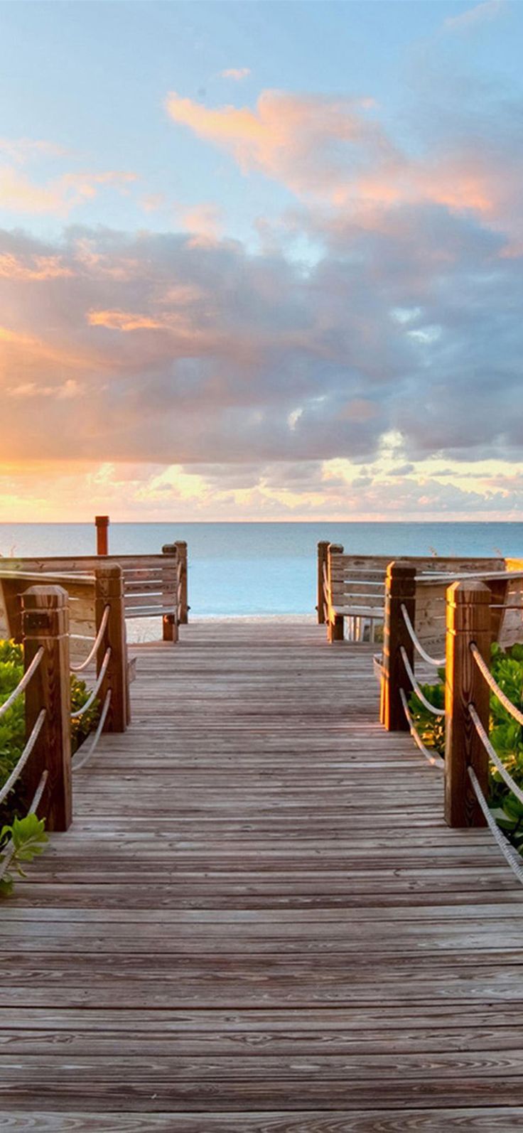 Nature Sunny Bright Skyscape Wooden