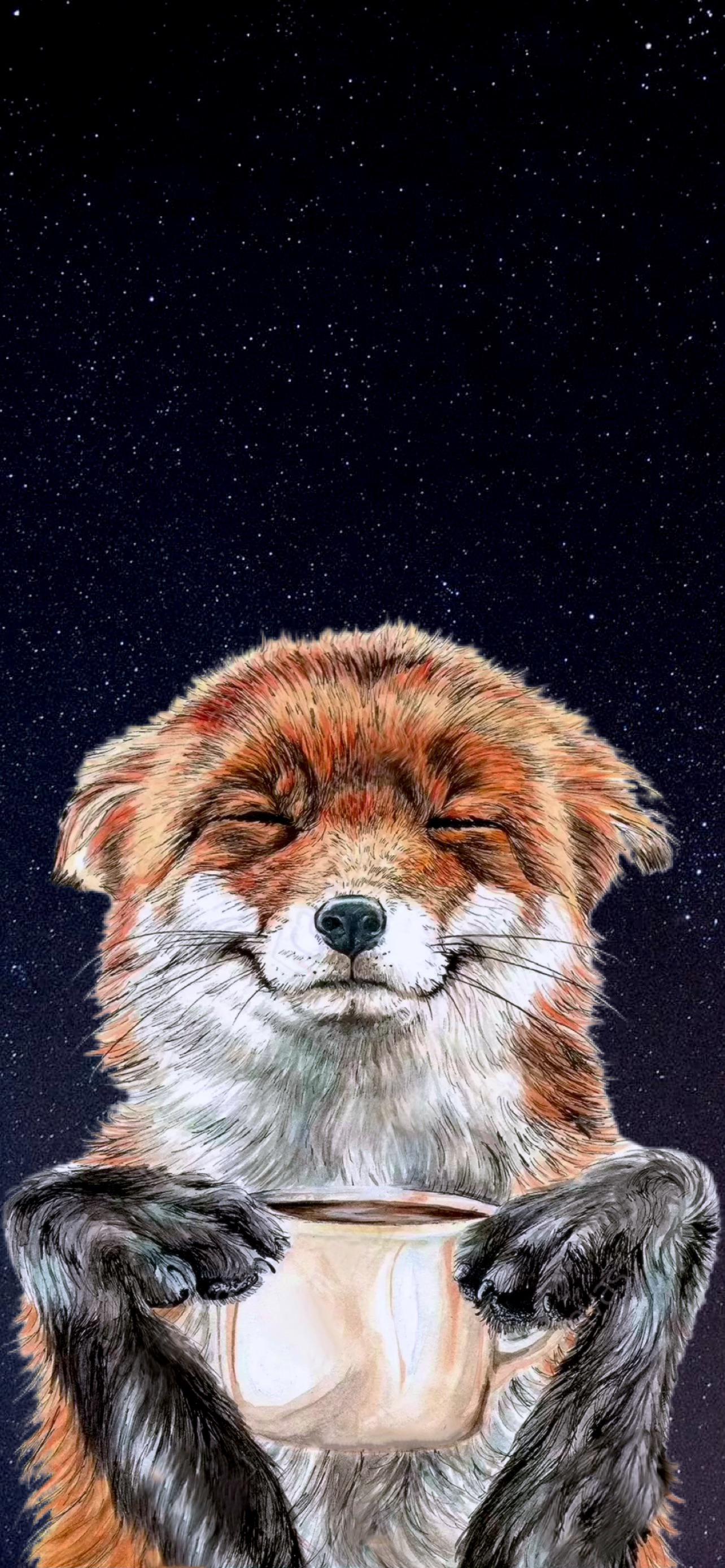 Happy Fox Wallpaper 12 13 Pro