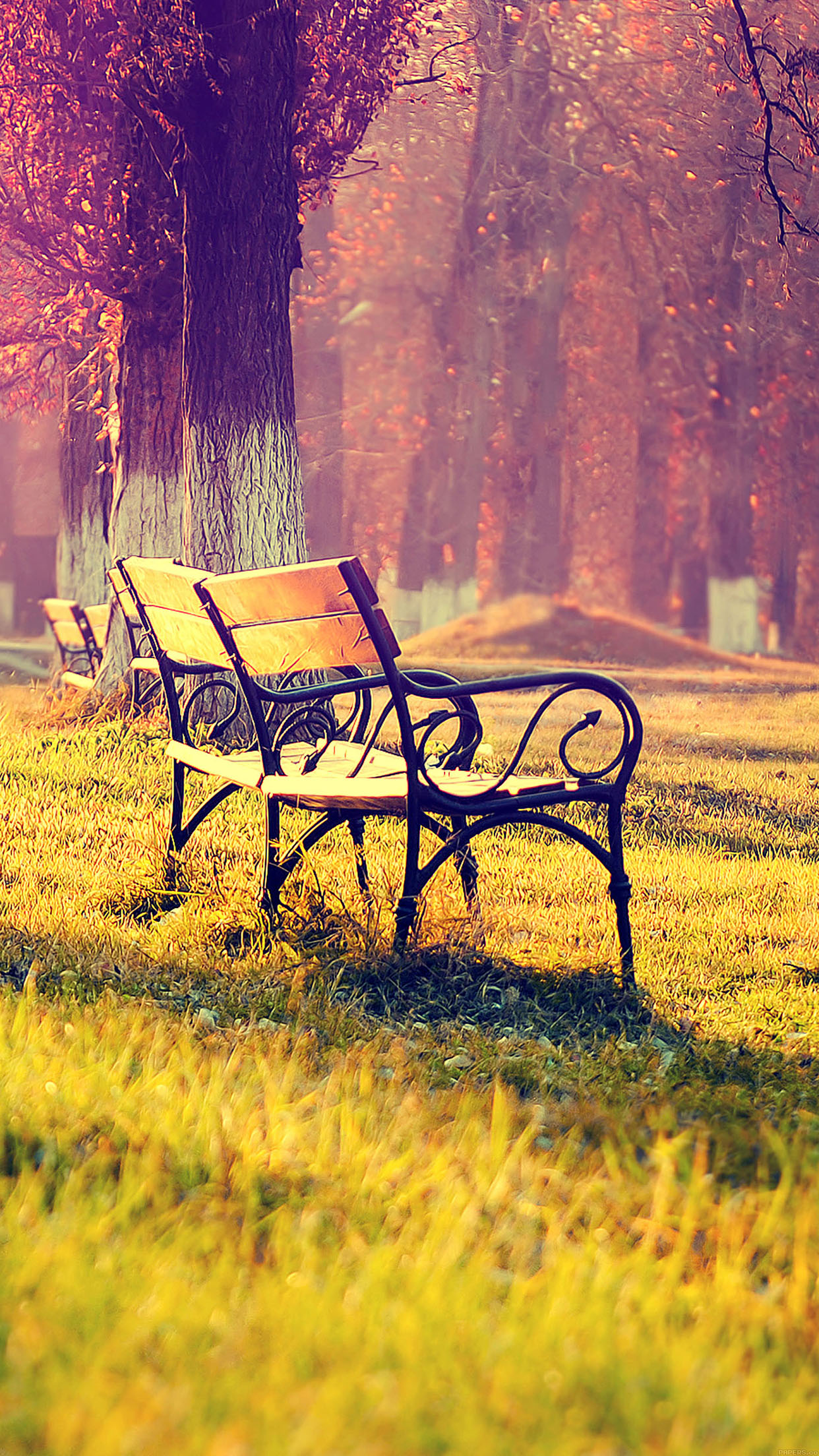 Wallpaper Fall Park Chair Lonely