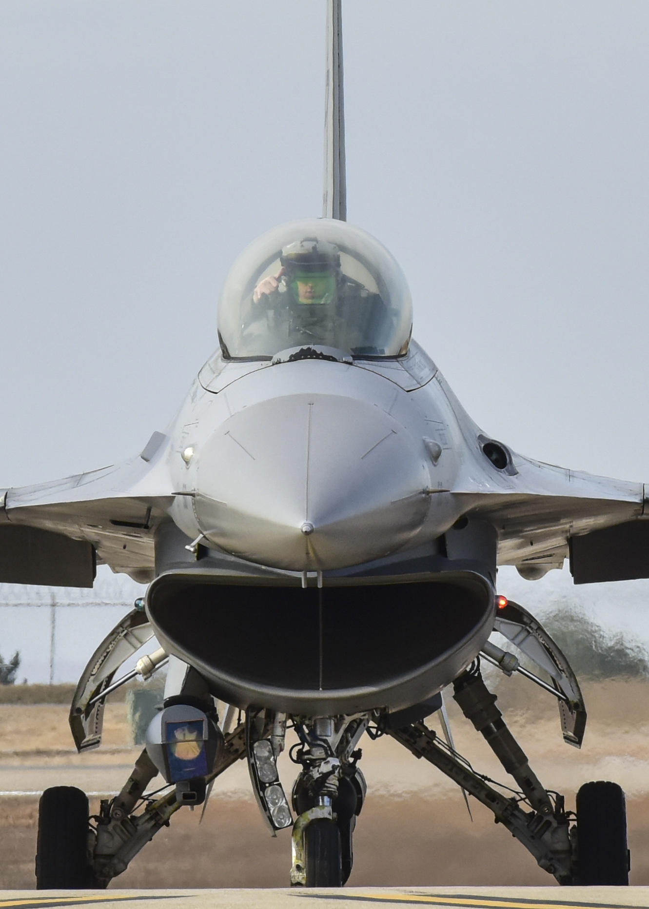 Training ops keep Wolf Pack ready