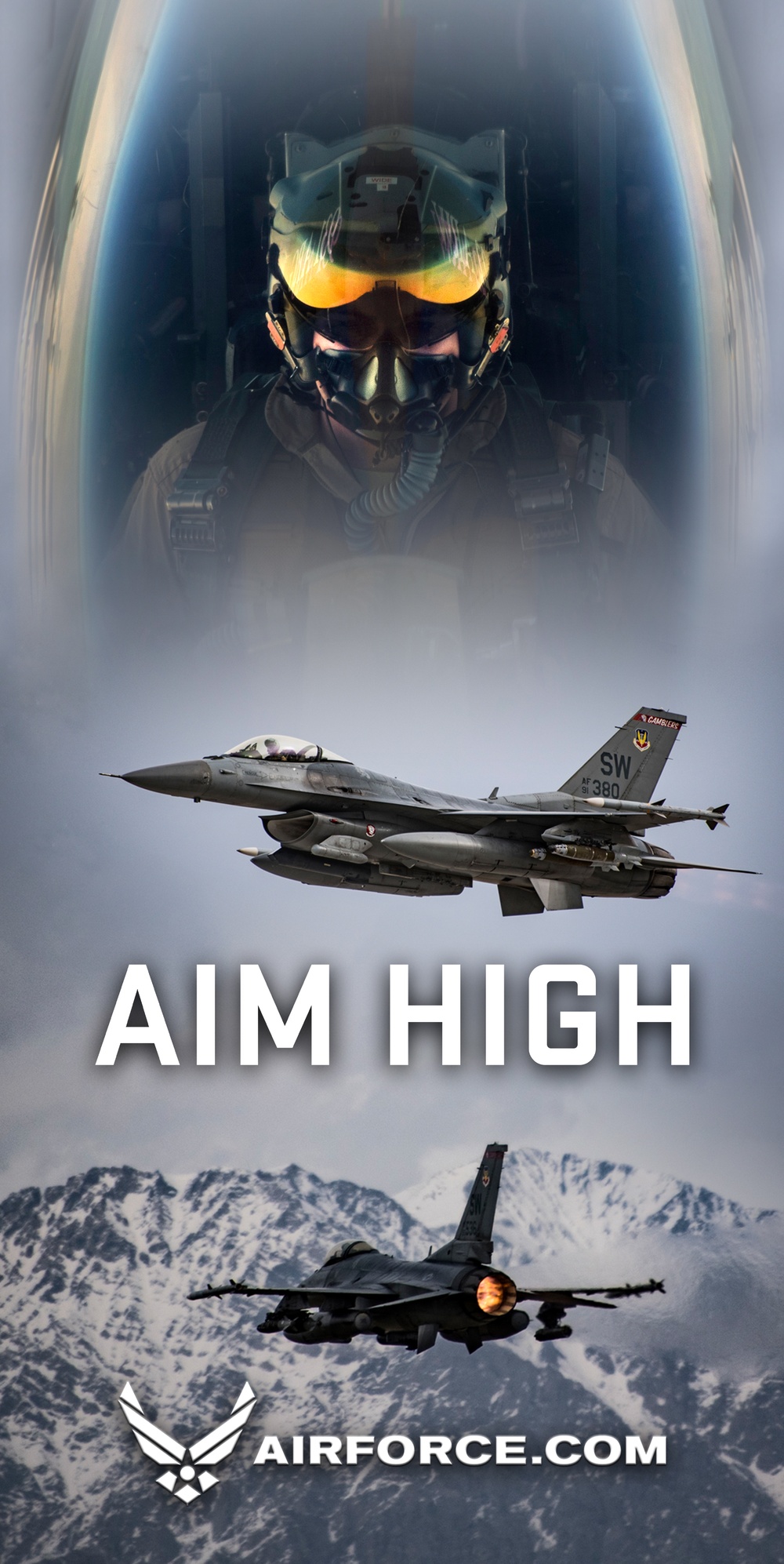 DVIDS High Poster: F 16