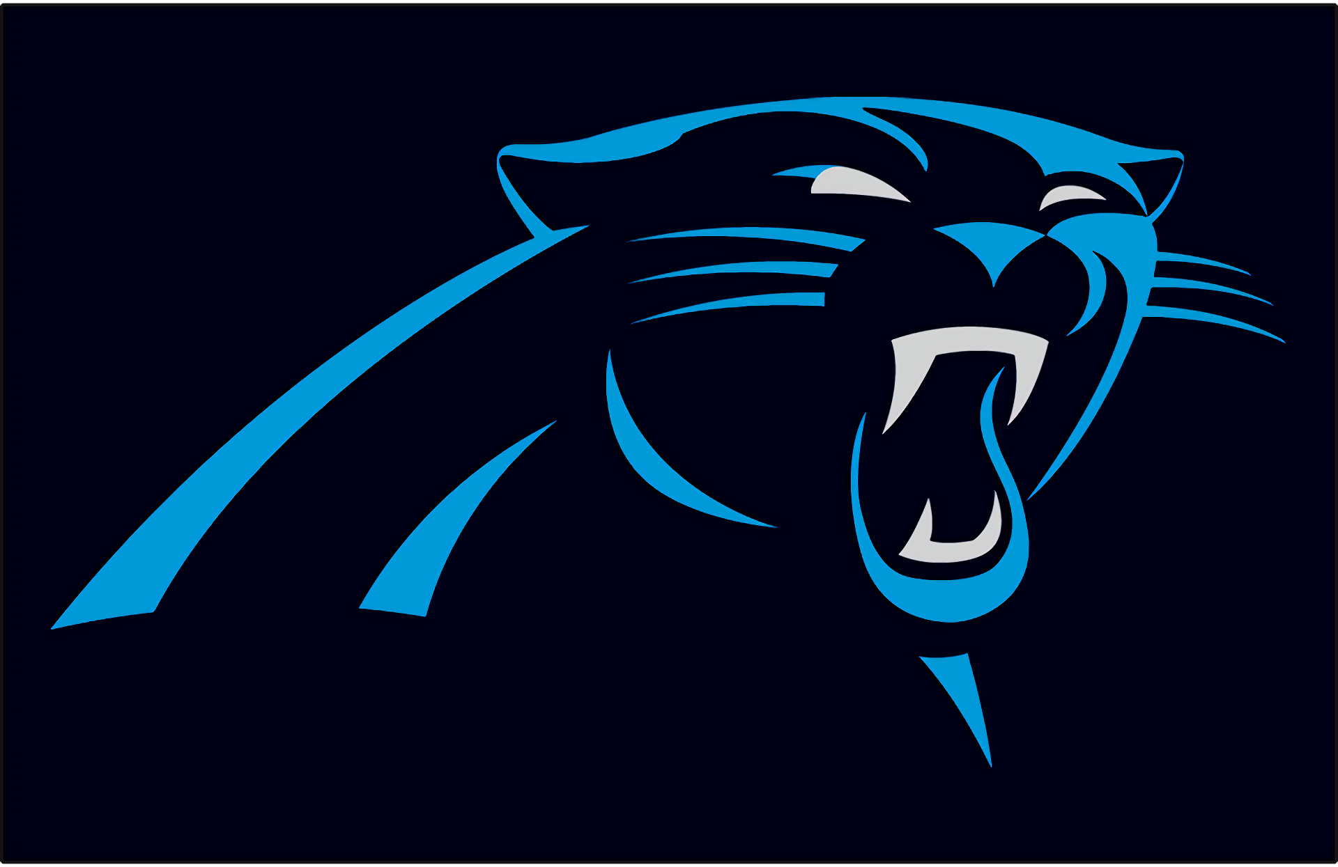 Carolina Panthers Sports HD Wallpaper