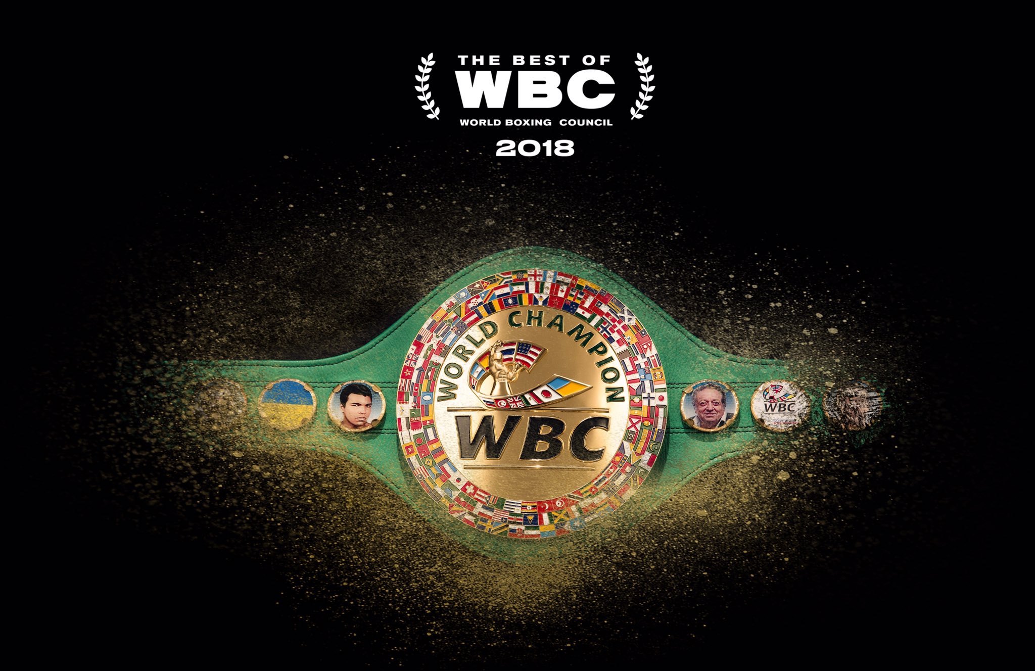 WBC Boxing Logo Wallpapers - Wallpaper Cave