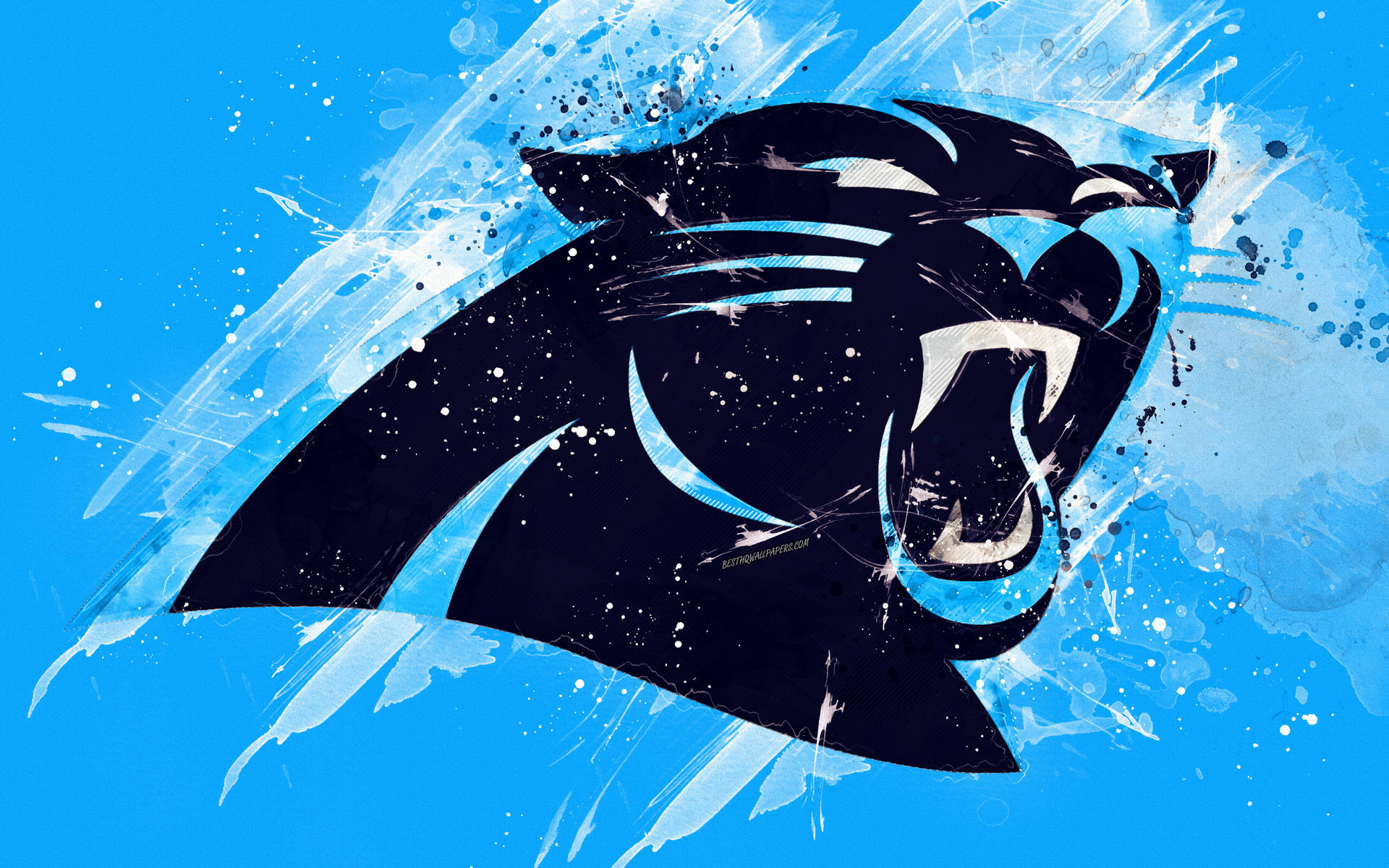 Download free Black Carolina Panthers
