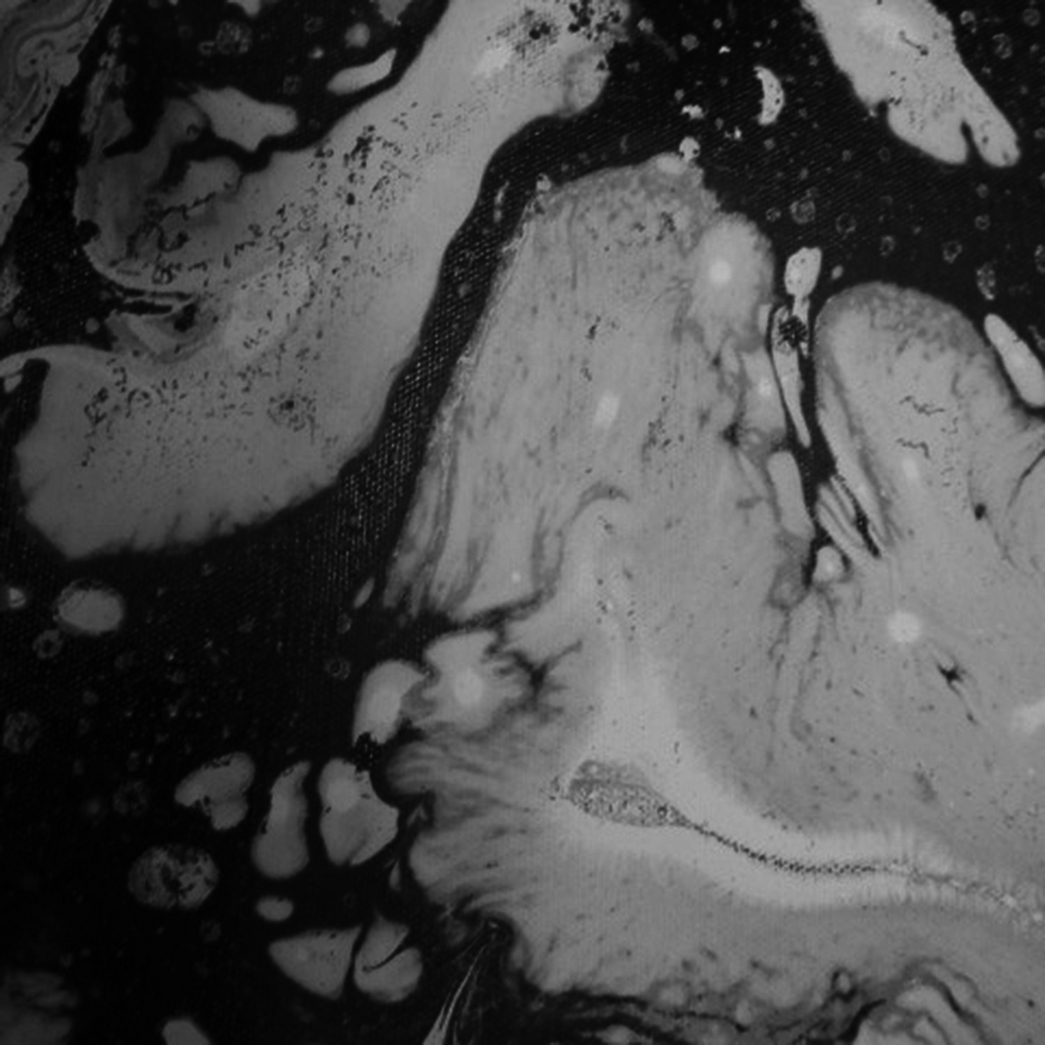 Stanley Donwood owend