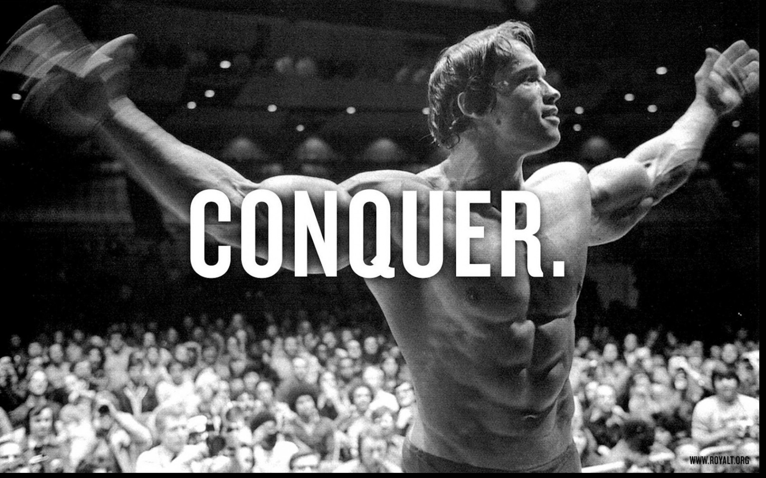 Arnold Schwarzenegger CONQUER Building Wall Poster Print 24x36 inches: Posters & Prints