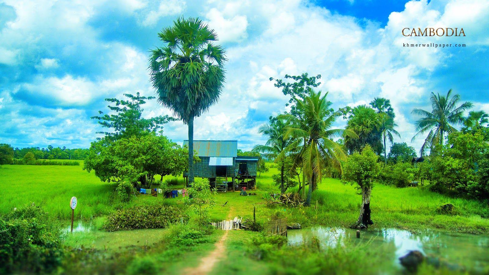 Khmer Countryside Wallpaper Free