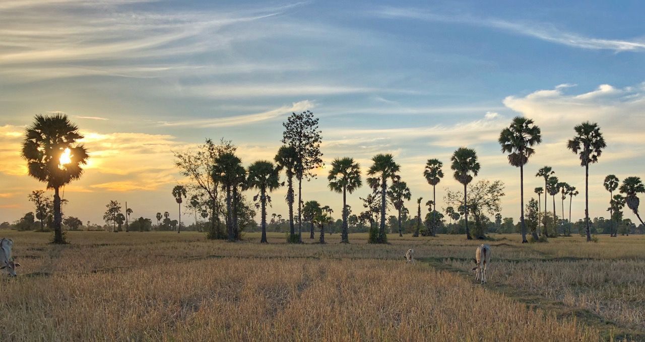 Sunset In Rural Cambodia