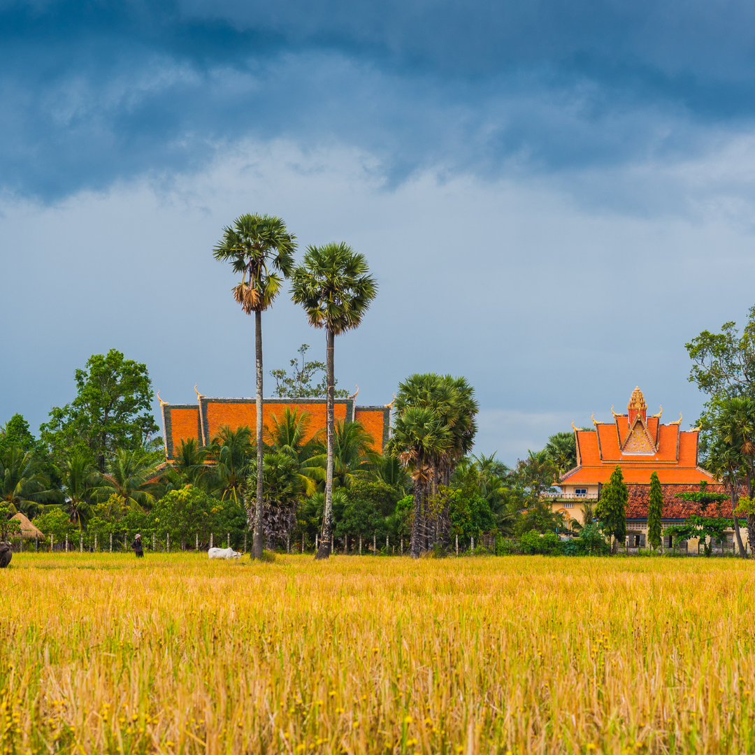 SAIS Perspectives is a publication out