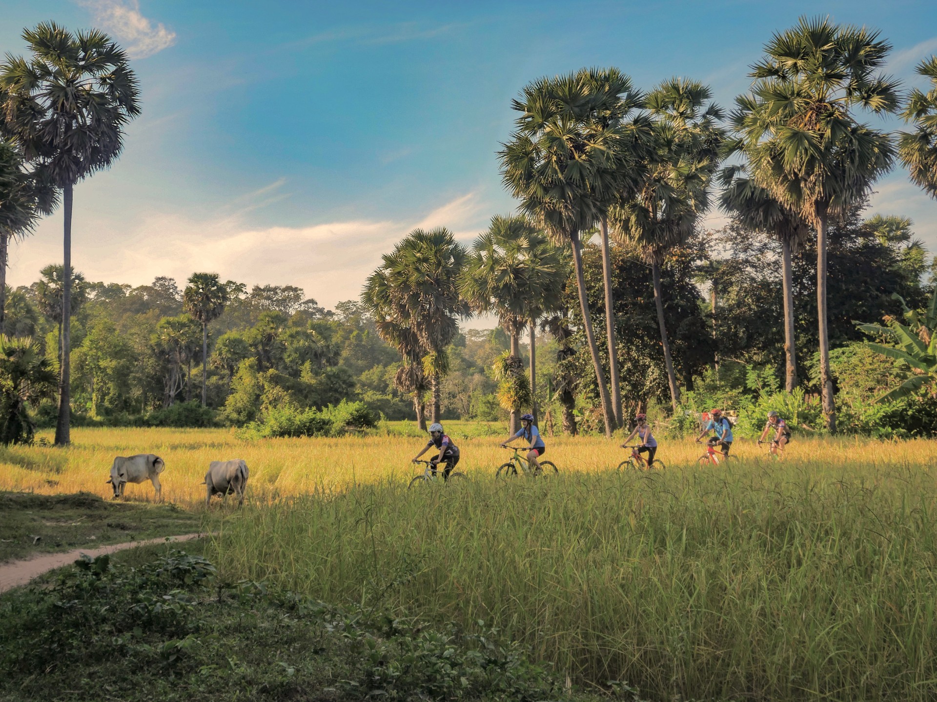 Siem Reap Countryside Bike Tour