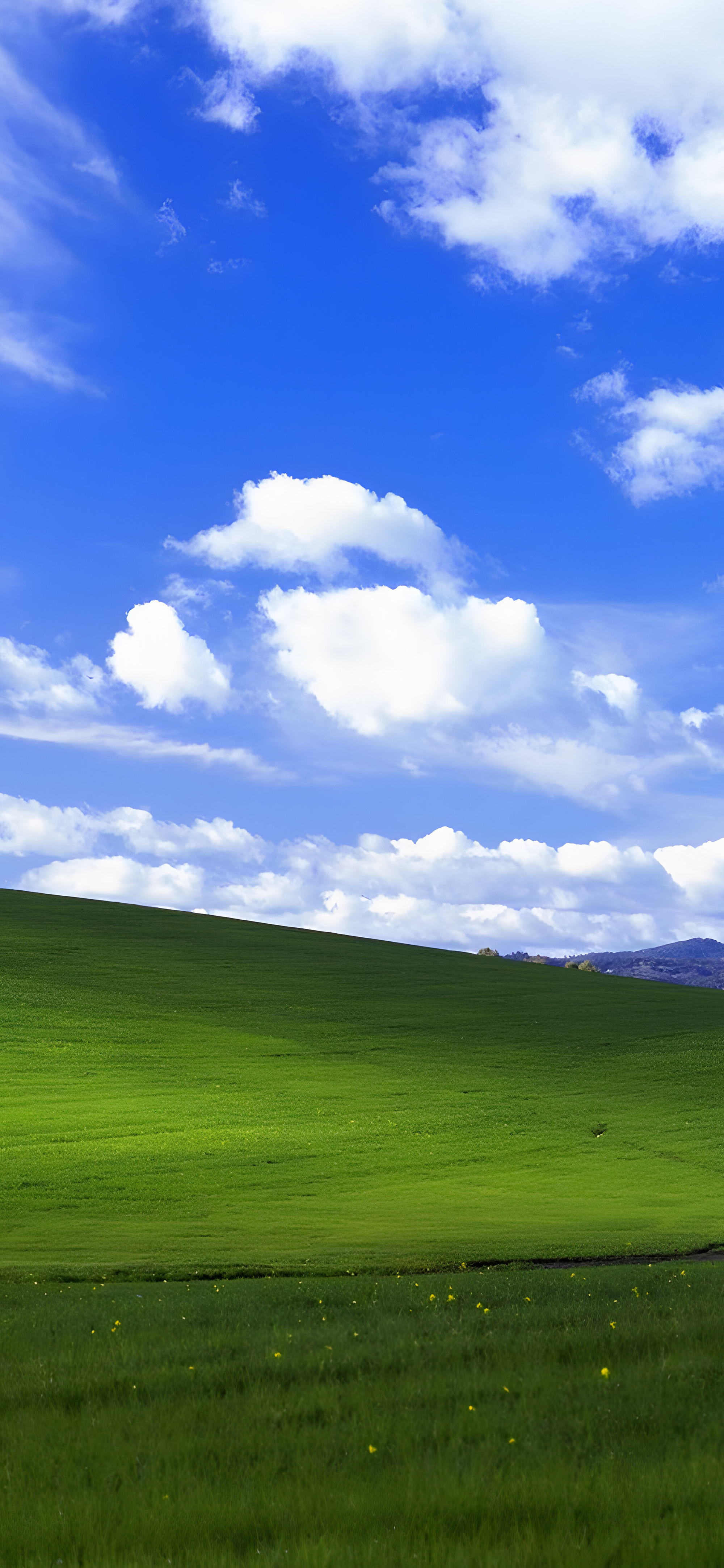 Serenity Windows Vintage Wallpaper