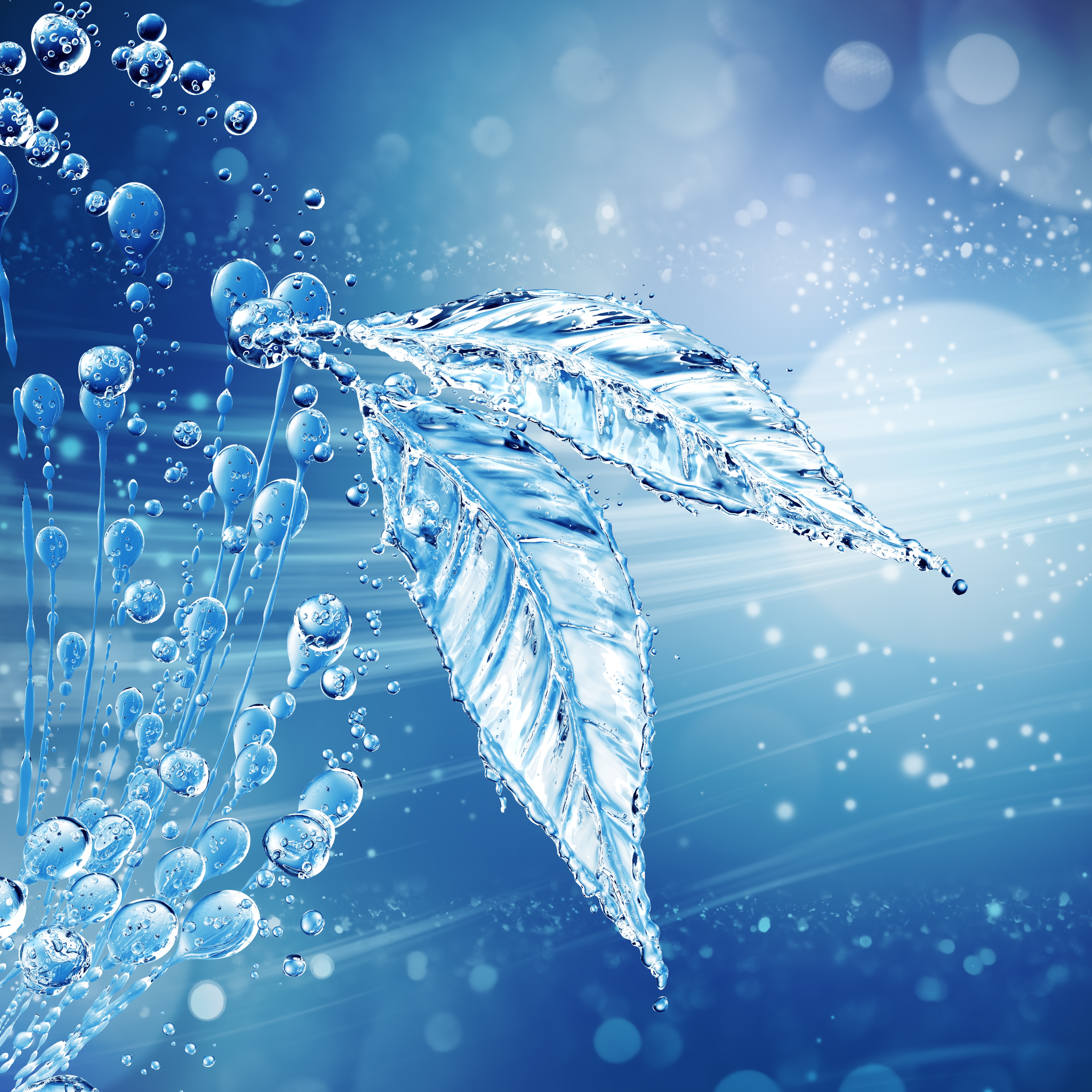 Desktop Wallpaper Leaf Drops Water