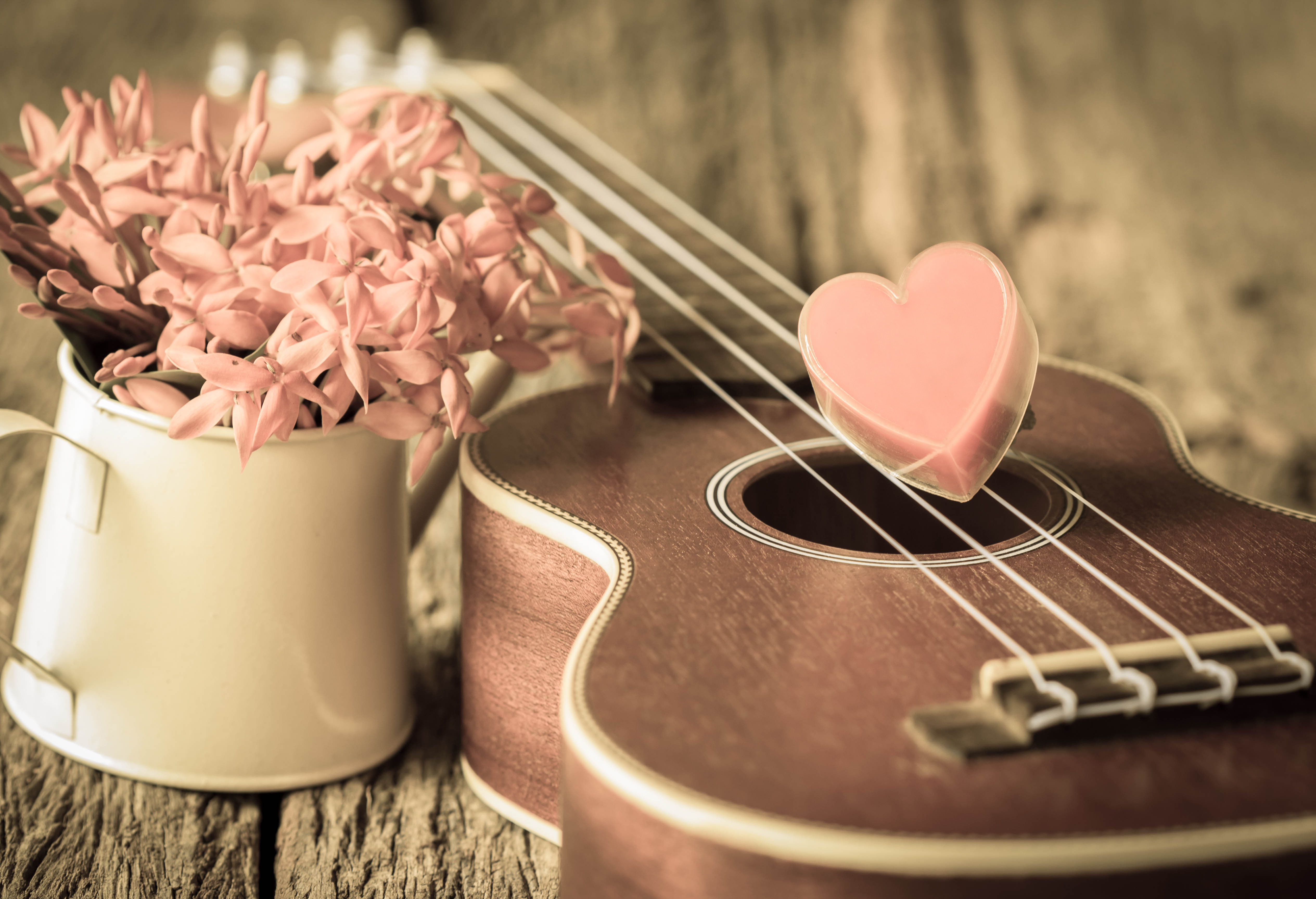 Picture Guitar Heart 5058x3456