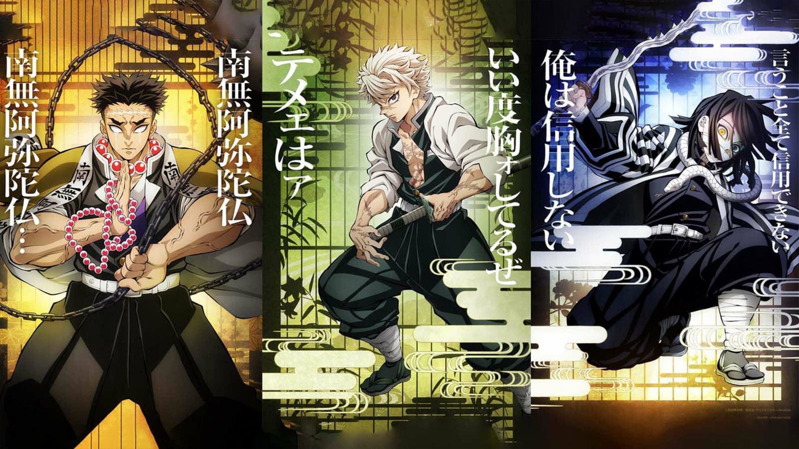 Demon Slayer Hashira Training arc