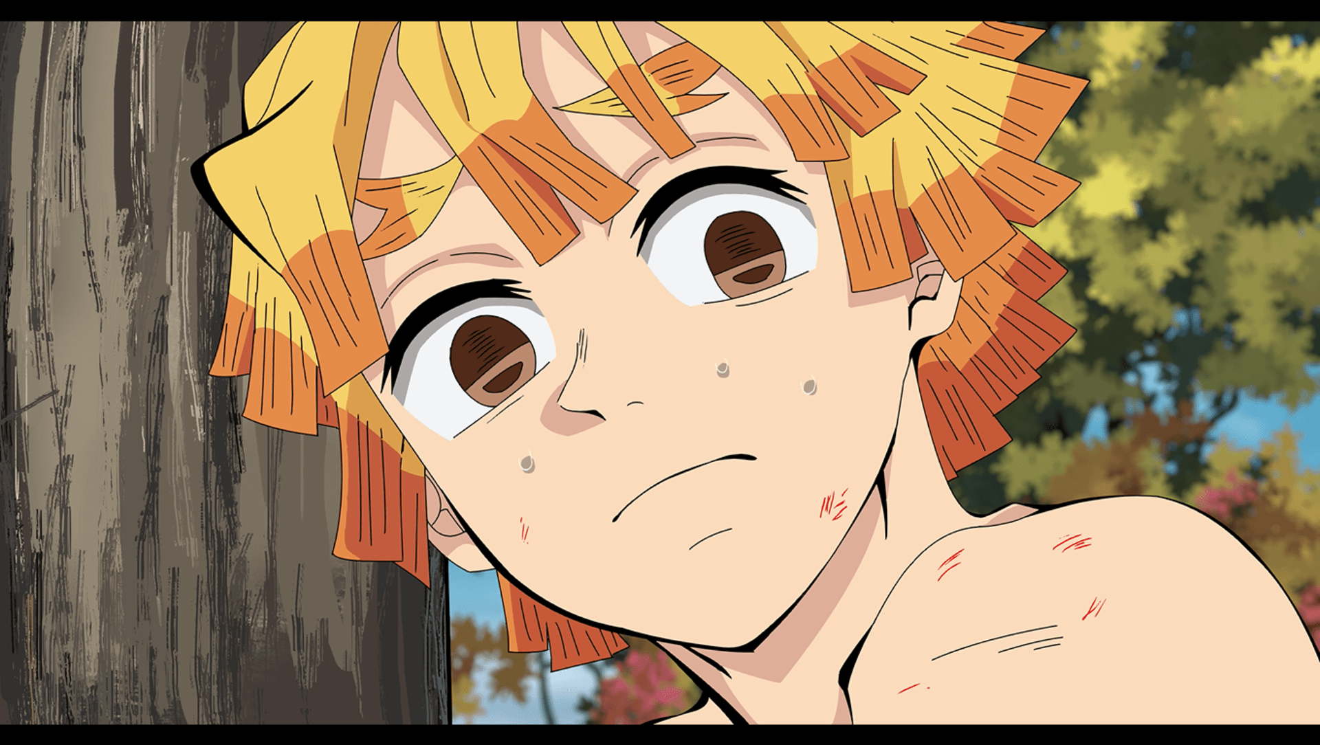 Hashira Training Arc HD Wallpaper