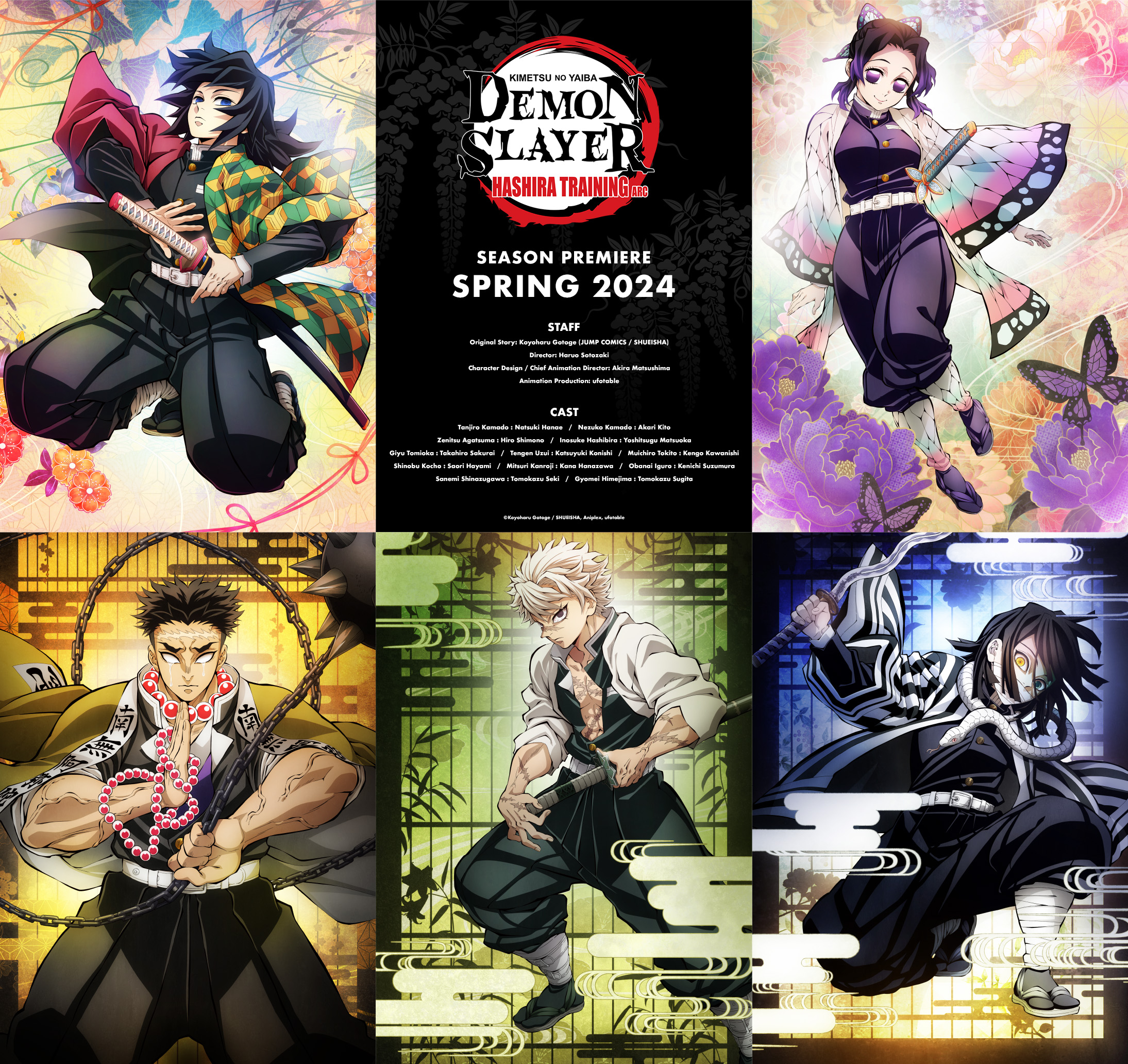 Kimetsu no Yaiba Hashira Training Arc