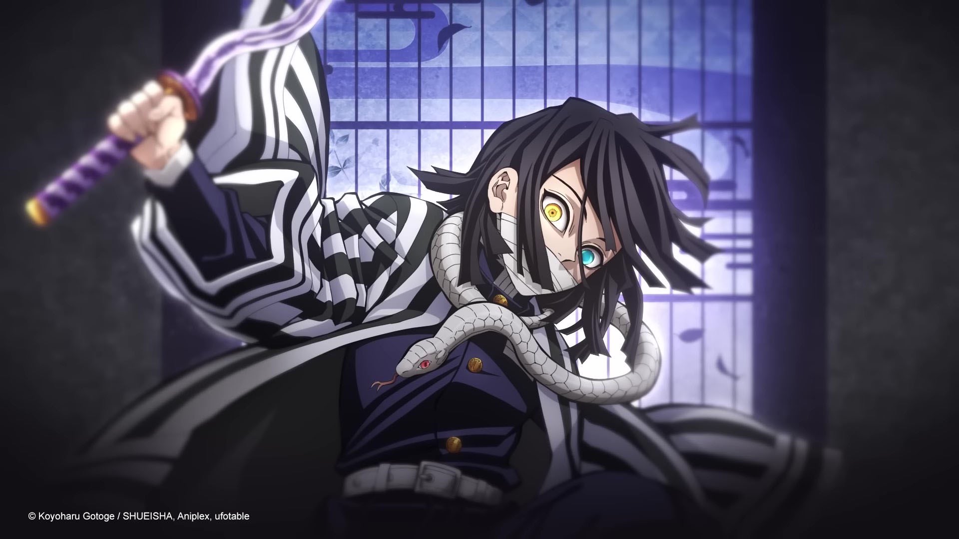 Kimetsu no Yaiba Hashira Training Arc