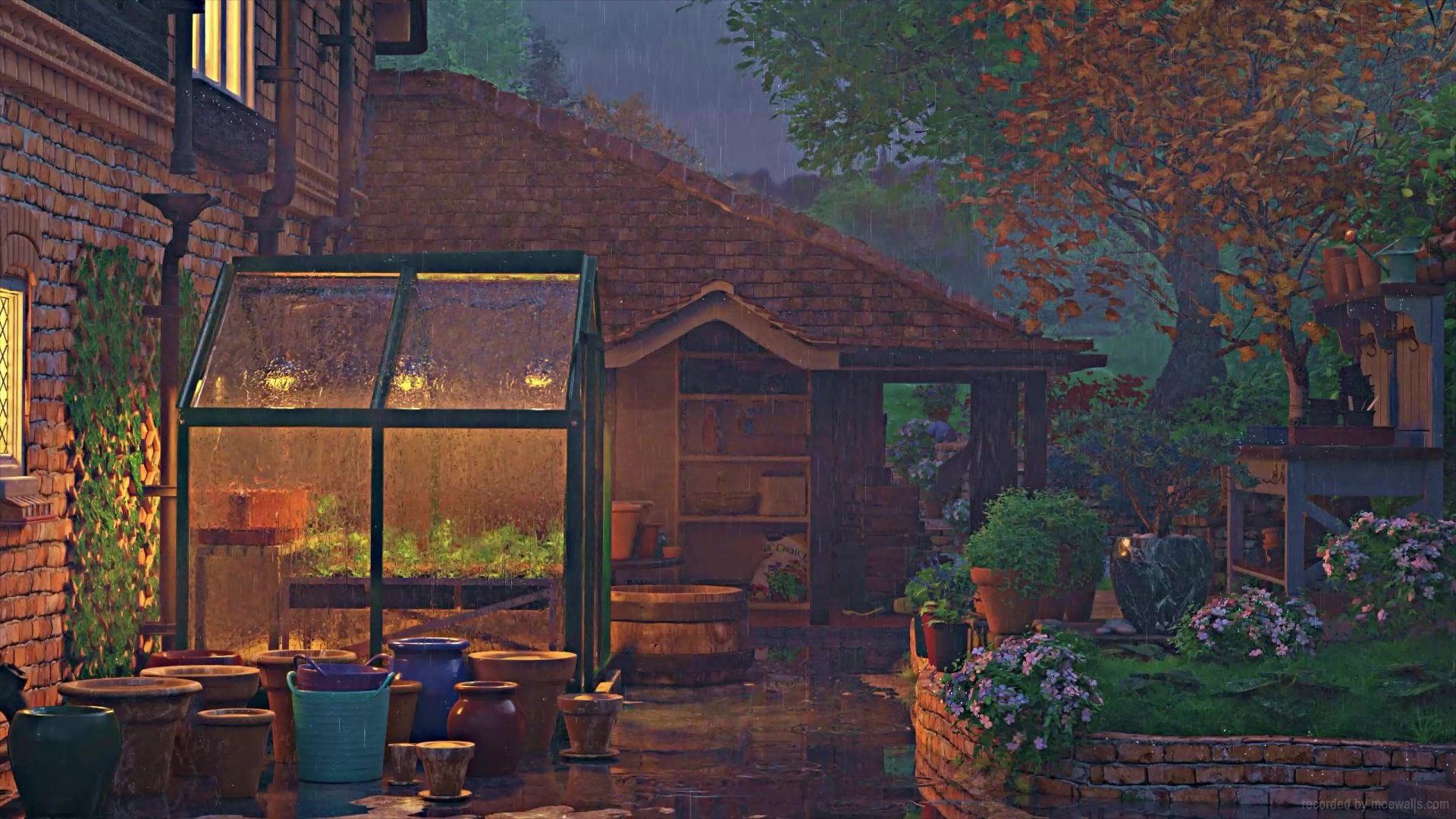Garden House Lofi Rainy Day Live