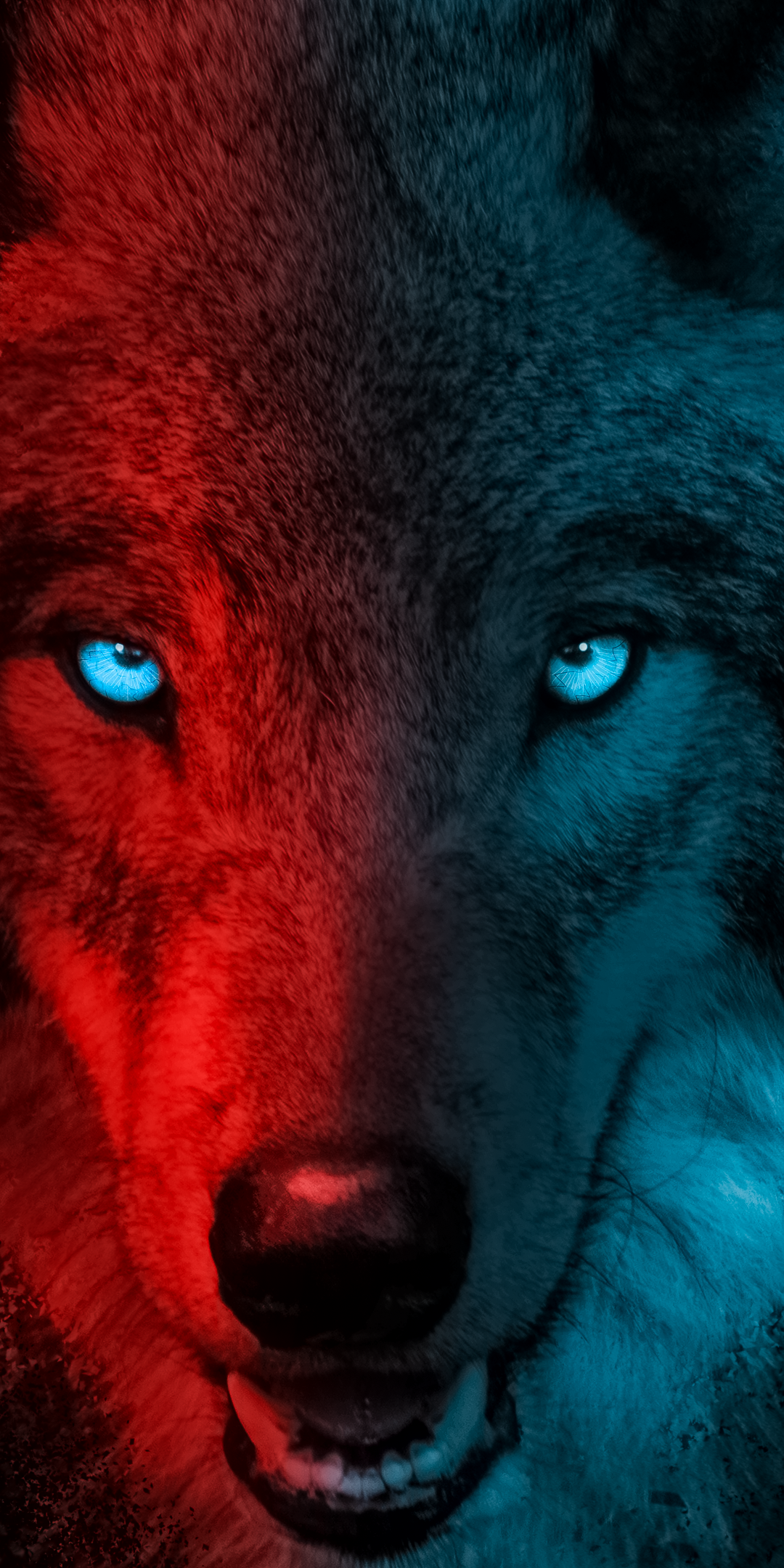 Wolf Wallpaper 4K, Scary, Gradient